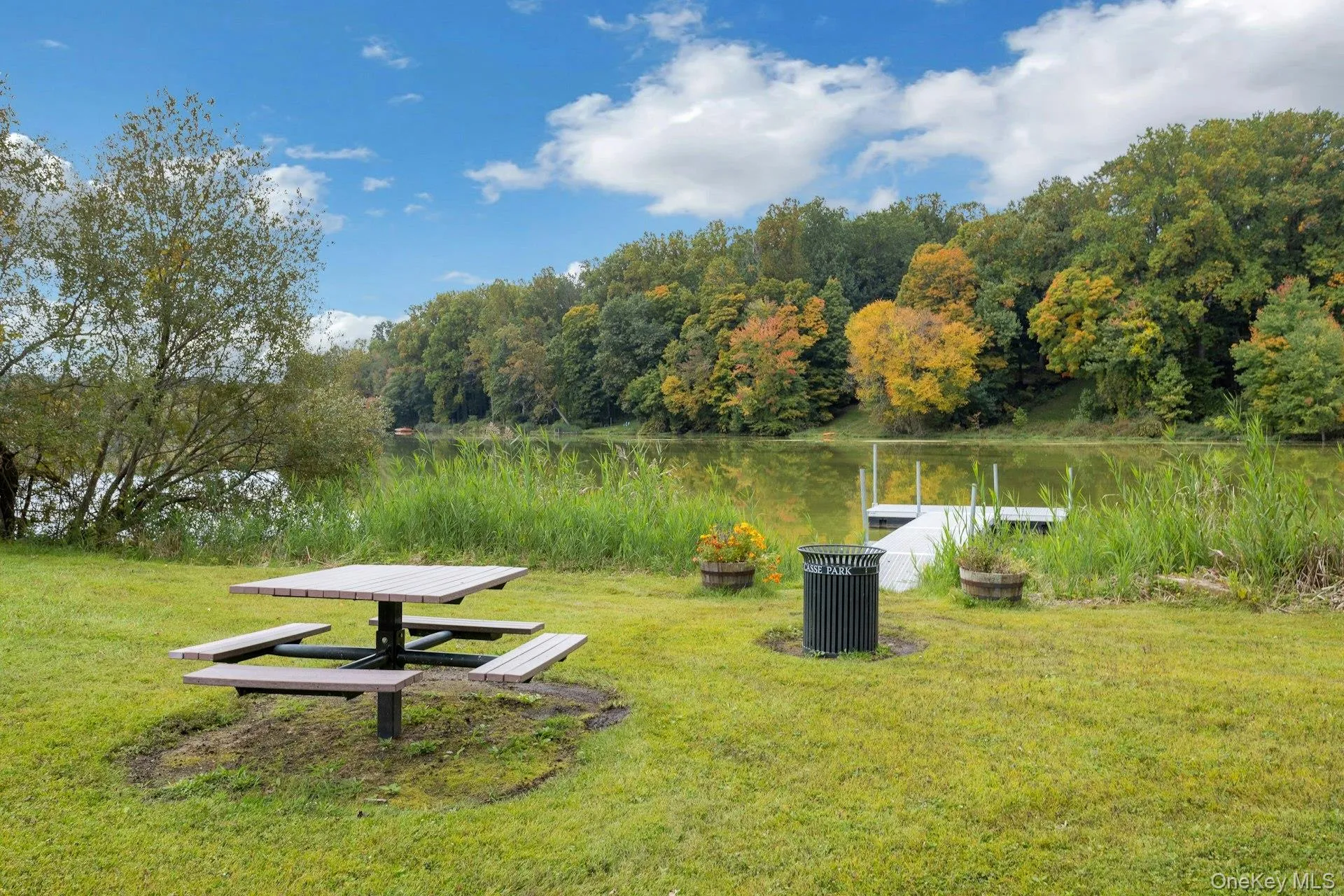 Picnic area Picnic area