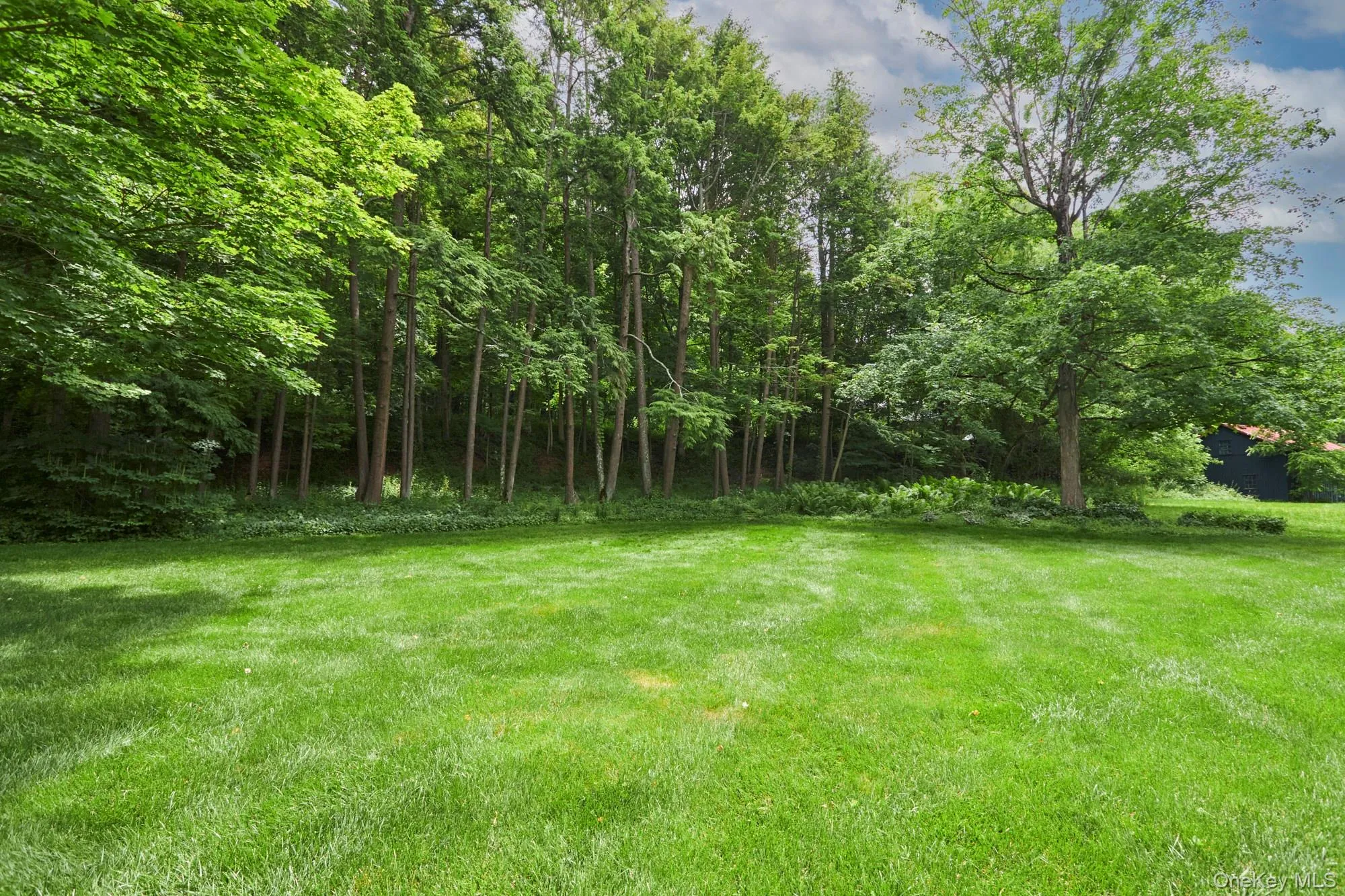 1408 Route 83, North East, NY, 2 Bedrooms Bedrooms, 6 Rooms Rooms,2 BathroomsBathrooms,Residential,For Rent,Route 83,0,1056226 1408 Route 83, North East, NY, 2 Bedrooms Bedrooms, 6 Rooms Rooms,2 BathroomsBathrooms,Residential,For Rent,Route 83,0,1056226