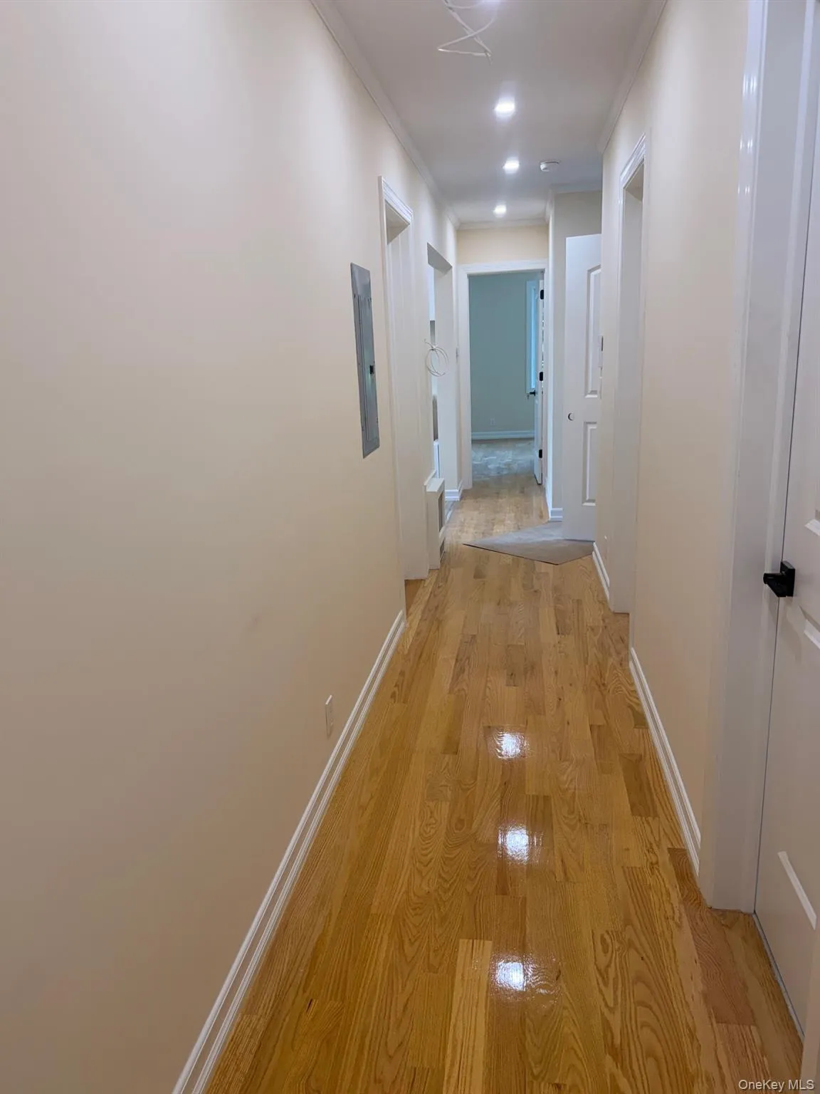 164-16 75th Road, New York, NY, 3 Bedrooms Bedrooms, 8 Rooms Rooms,2 BathroomsBathrooms,Residential Lease,For Rent,75th,0,1056240 164-16 75th Road, New York, NY, 3 Bedrooms Bedrooms, 8 Rooms Rooms,2 BathroomsBathrooms,Residential Lease,For Rent,75th,0,1056240