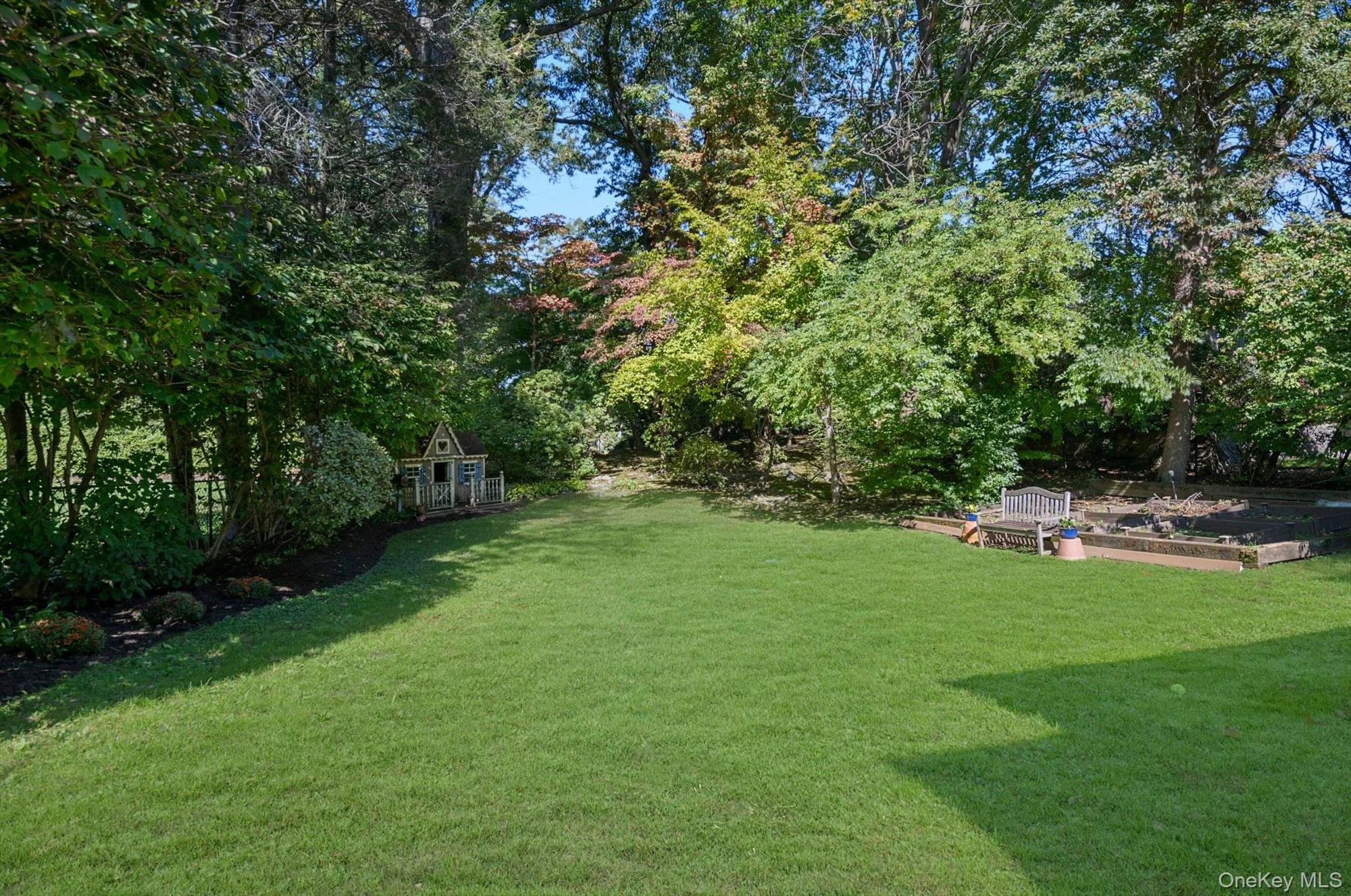 Backyard Backyard