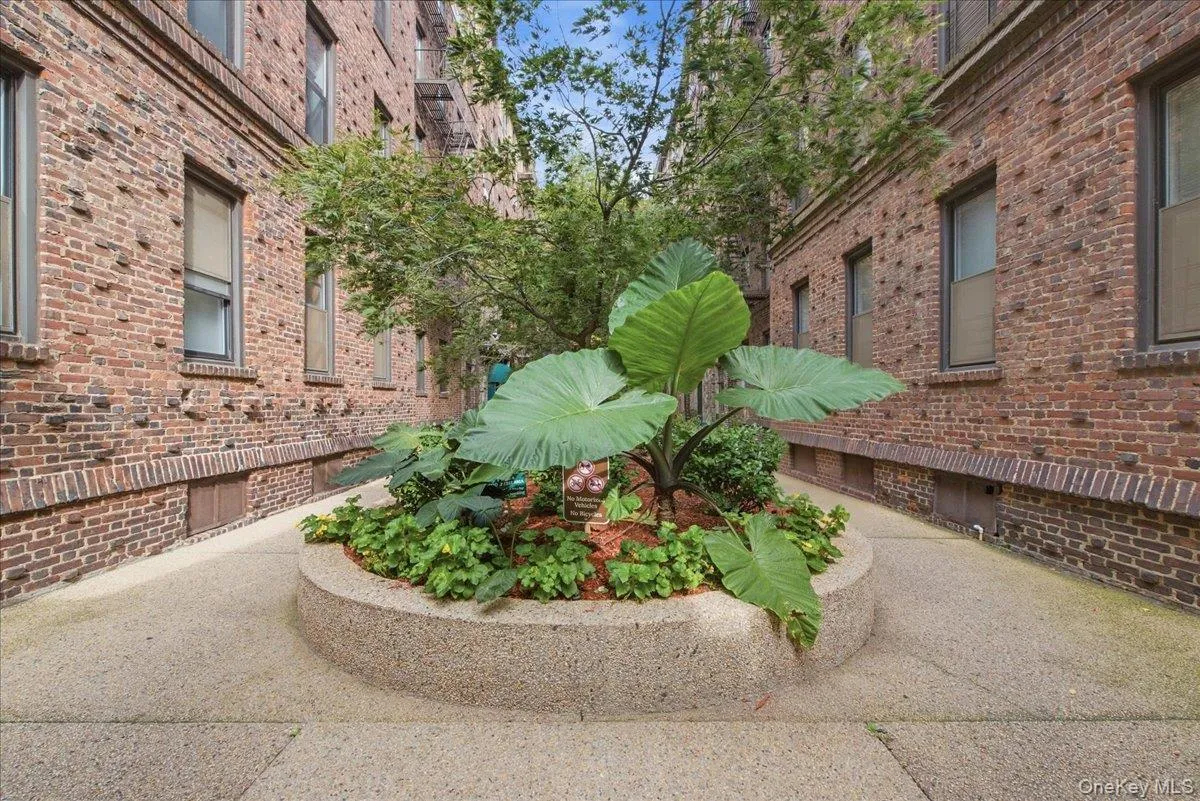 83-19 116th Street, New York, NY, 1 Bedroom Bedrooms, 4 Rooms Rooms,1 BathroomBathrooms,Residential,For Rent,116th,0,1056274 83-19 116th Street, New York, NY, 1 Bedroom Bedrooms, 4 Rooms Rooms,1 BathroomBathrooms,Residential,For Rent,116th,0,1056274