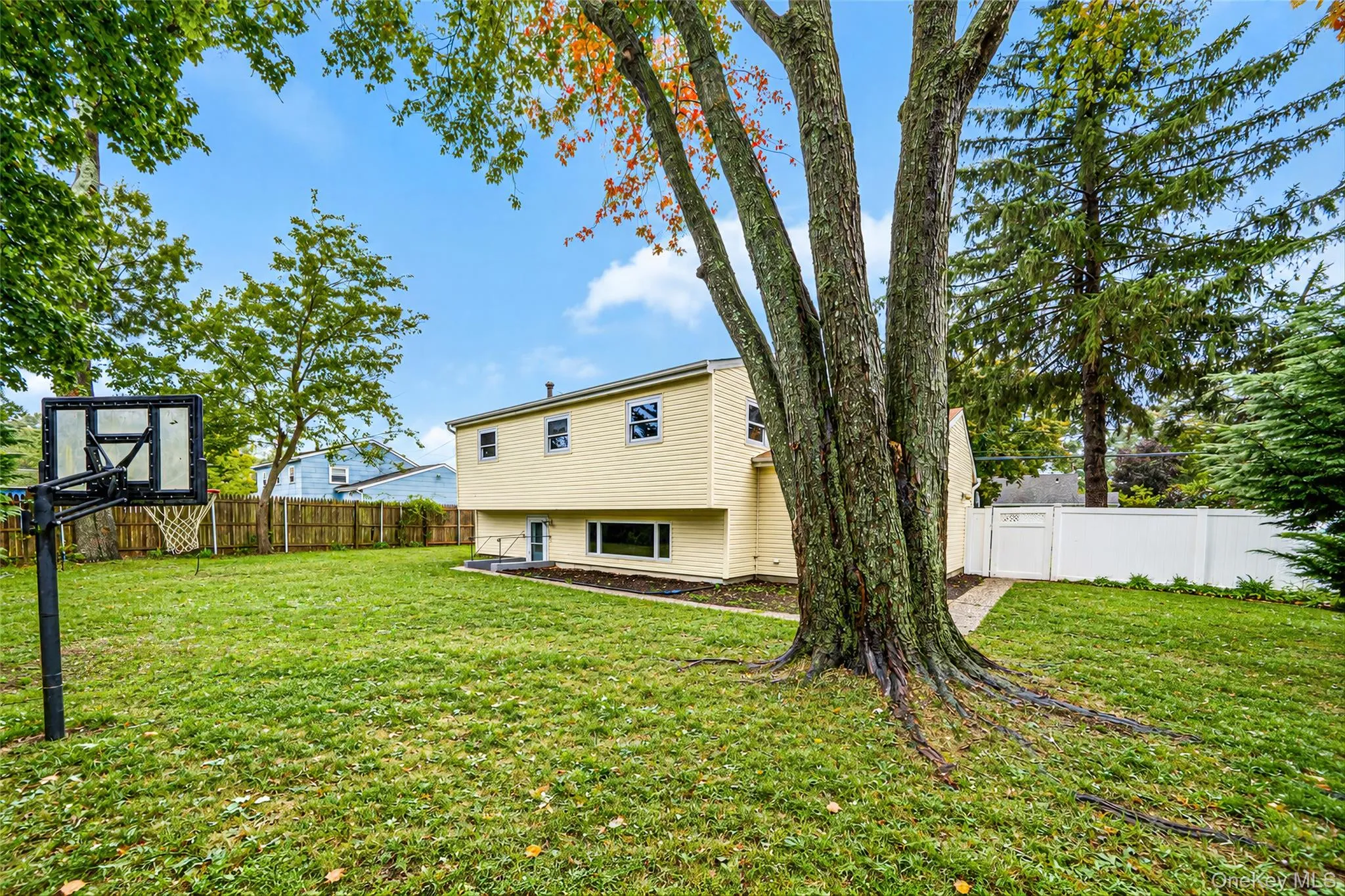 66 Ontario Street, Brookhaven, NY, 3 Bedrooms Bedrooms, 7 Rooms Rooms,2 BathroomsBathrooms,Residential,For Rent,Ontario,0,1056320 66 Ontario Street, Brookhaven, NY, 3 Bedrooms Bedrooms, 7 Rooms Rooms,2 BathroomsBathrooms,Residential,For Rent,Ontario,0,1056320