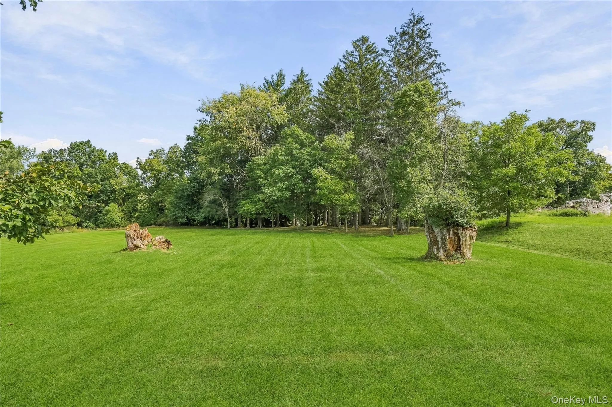 112 Lippincott Road, Shawangunk, NY, 3 Bedrooms Bedrooms, 7 Rooms Rooms,2 BathroomsBathrooms,Residential,For Rent,Lippincott,0,1056336 112 Lippincott Road, Shawangunk, NY, 3 Bedrooms Bedrooms, 7 Rooms Rooms,2 BathroomsBathrooms,Residential,For Rent,Lippincott,0,1056336