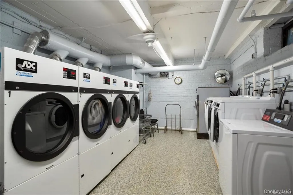 61 White Oak, New Rochelle, NY, 3 Bedrooms Bedrooms, 6 Rooms Rooms,1 BathroomBathrooms,Residential,For Rent,White Oak,0,1056338 61 White Oak, New Rochelle, NY, 3 Bedrooms Bedrooms, 6 Rooms Rooms,1 BathroomBathrooms,Residential,For Rent,White Oak,0,1056338