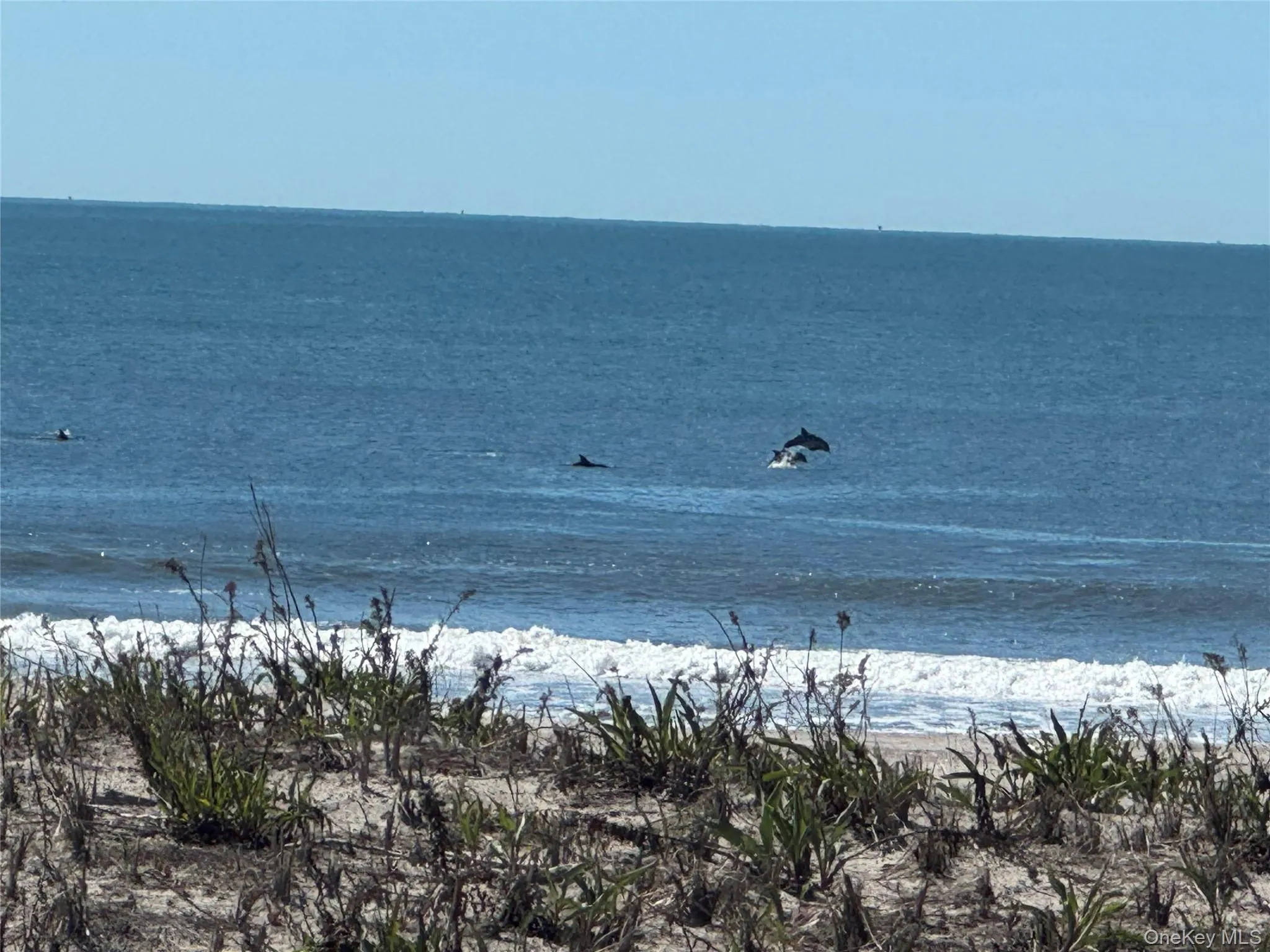 750 Shore Road, Long Beach, NY, 1 Bedroom Bedrooms, 3 Rooms Rooms,1 BathroomBathrooms,Residential,For Rent,Shore,0,1056346 750 Shore Road, Long Beach, NY, 1 Bedroom Bedrooms, 3 Rooms Rooms,1 BathroomBathrooms,Residential,For Rent,Shore,0,1056346