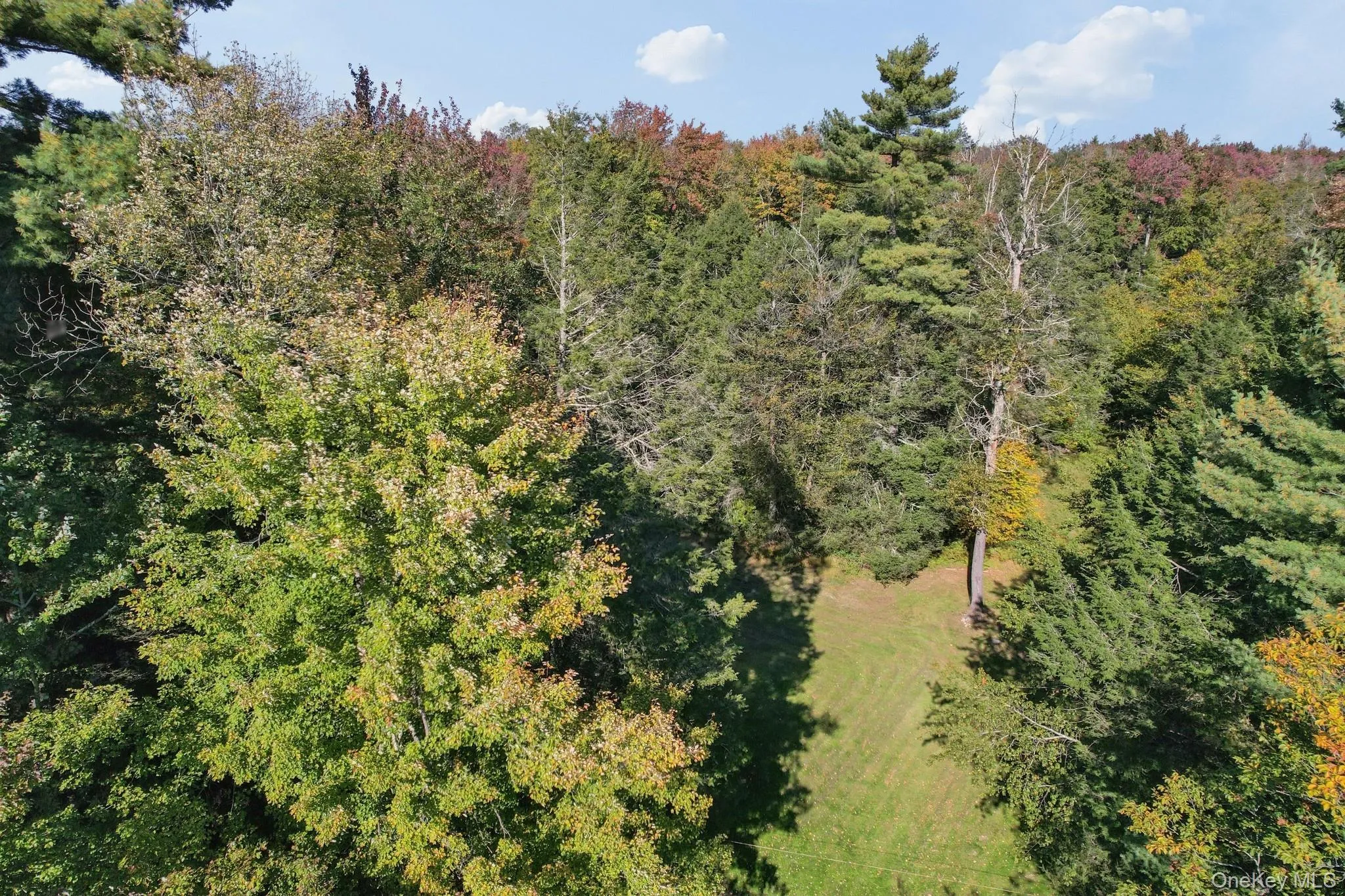 118 Weiser Road, Wawarsing, NY, ,Land,For Rent,Weiser,0,1056361 118 Weiser Road, Wawarsing, NY, ,Land,For Rent,Weiser,0,1056361