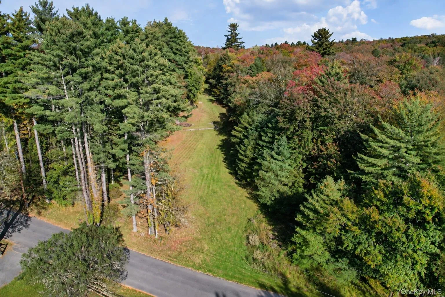 118 Weiser Road, Wawarsing, NY, ,Land,For Rent,Weiser,0,1056361 118 Weiser Road, Wawarsing, NY, ,Land,For Rent,Weiser,0,1056361