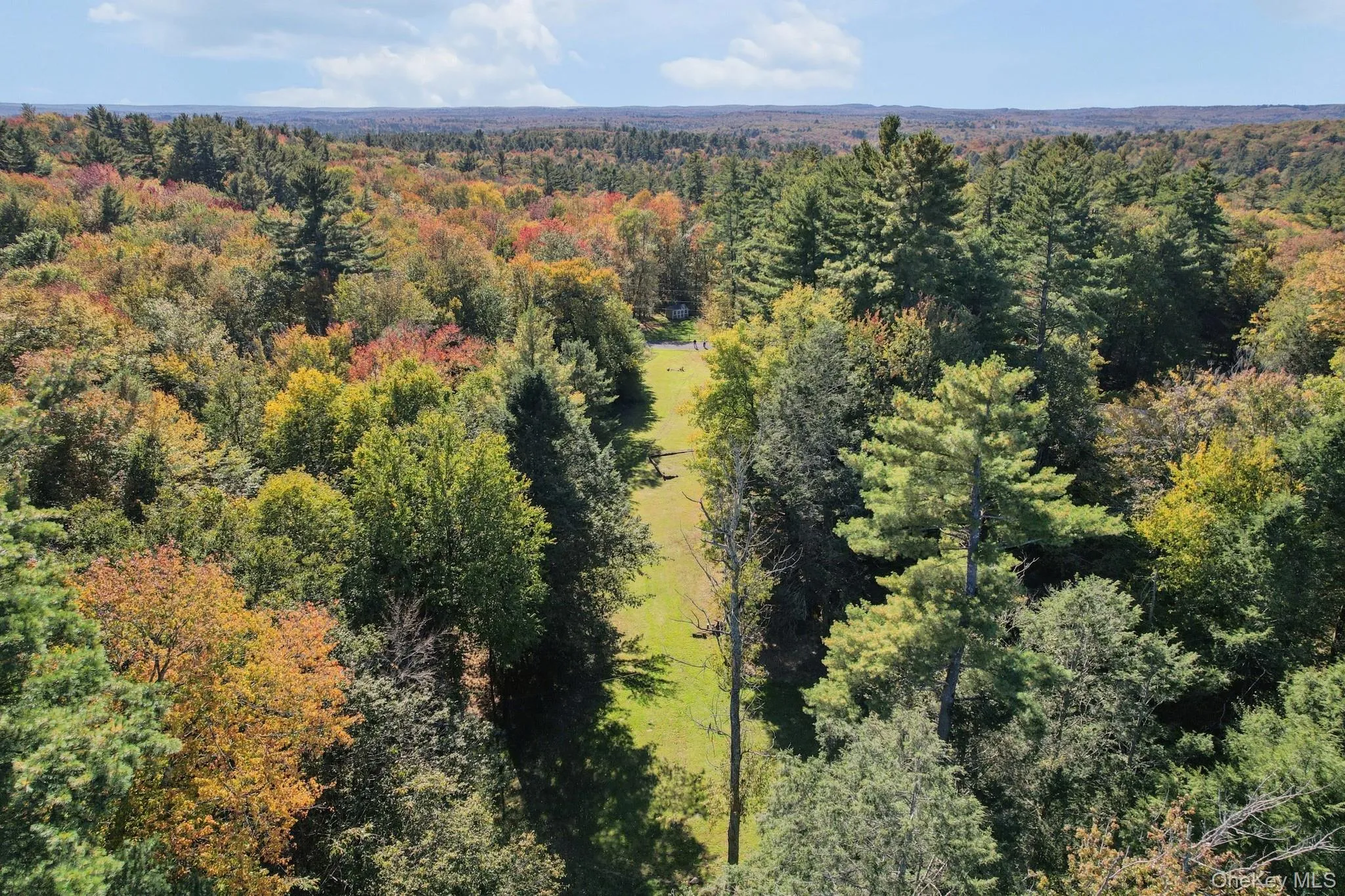 118 Weiser Road, Wawarsing, NY, ,Land,For Rent,Weiser,0,1056361 118 Weiser Road, Wawarsing, NY, ,Land,For Rent,Weiser,0,1056361
