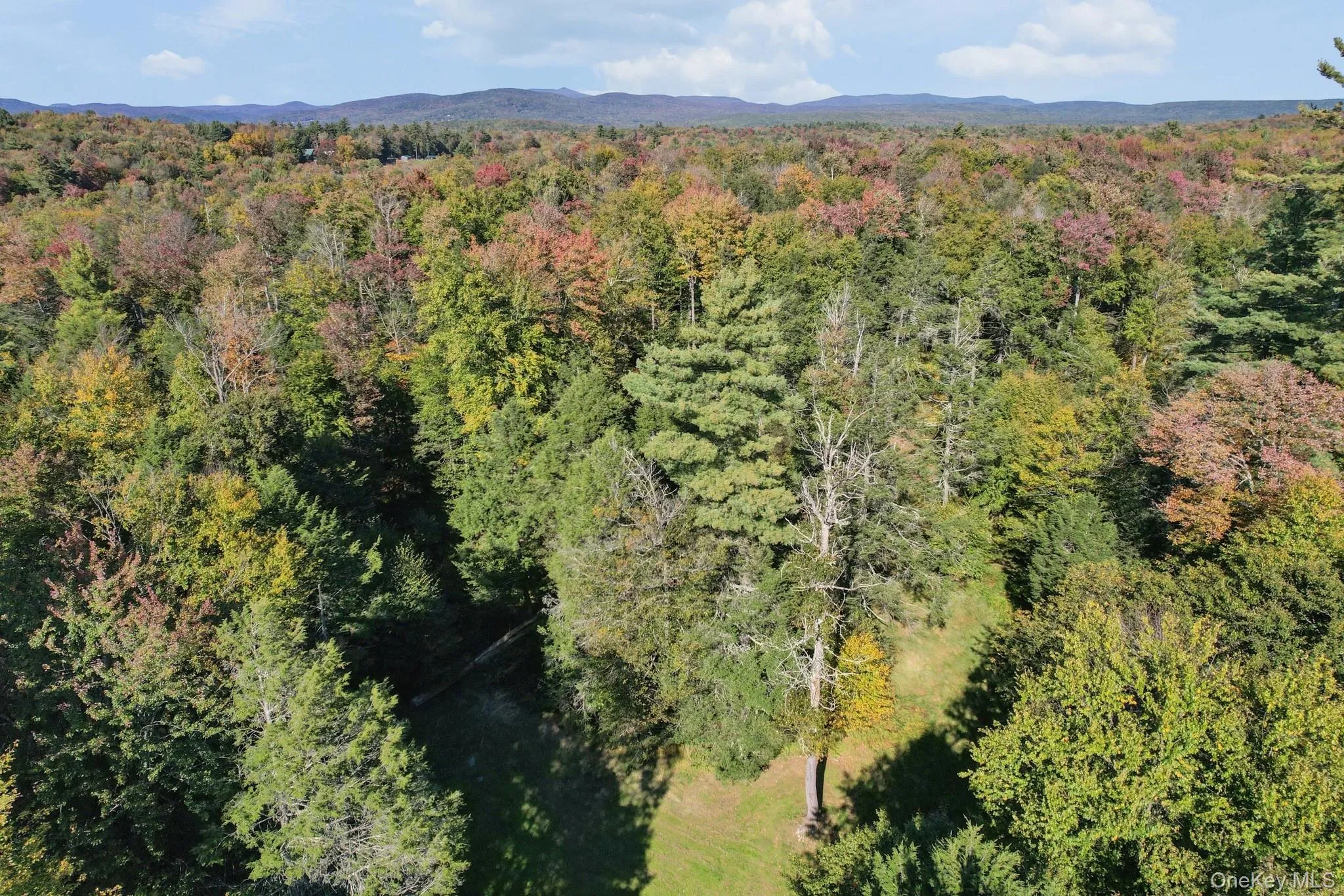 118 Weiser Road, Wawarsing, NY, ,Land,For Rent,Weiser,0,1056361 118 Weiser Road, Wawarsing, NY, ,Land,For Rent,Weiser,0,1056361