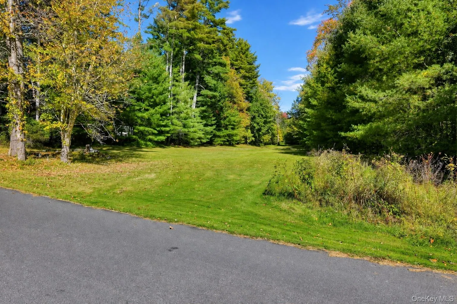 118 Weiser Road, Wawarsing, NY, ,Land,For Rent,Weiser,0,1056361 118 Weiser Road, Wawarsing, NY, ,Land,For Rent,Weiser,0,1056361
