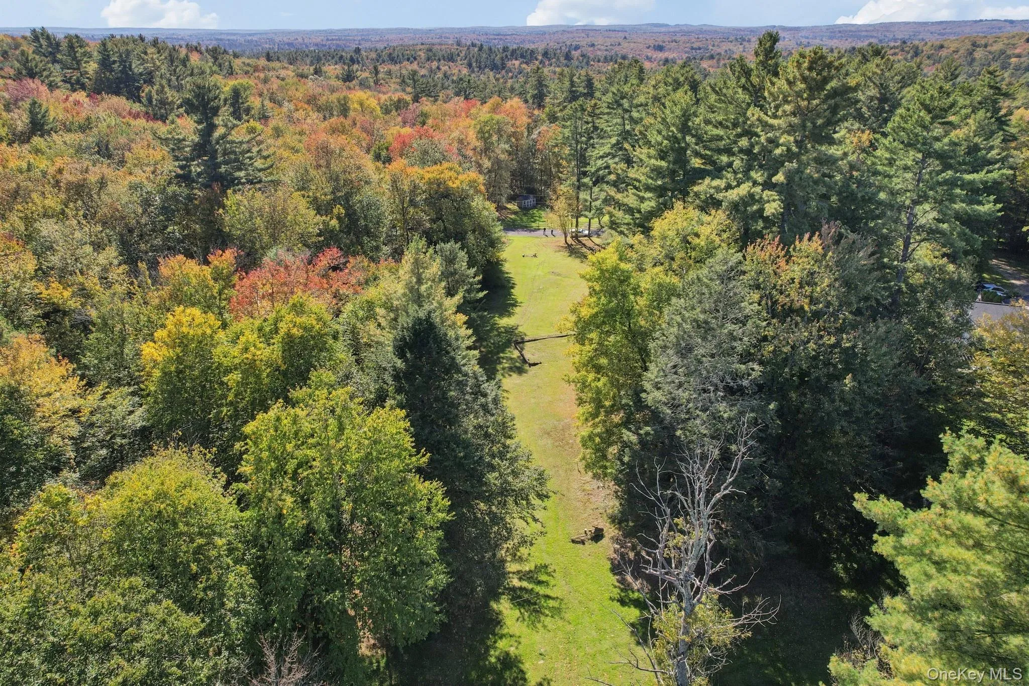 118 Weiser Road, Wawarsing, NY, ,Land,For Rent,Weiser,0,1056361 118 Weiser Road, Wawarsing, NY, ,Land,For Rent,Weiser,0,1056361