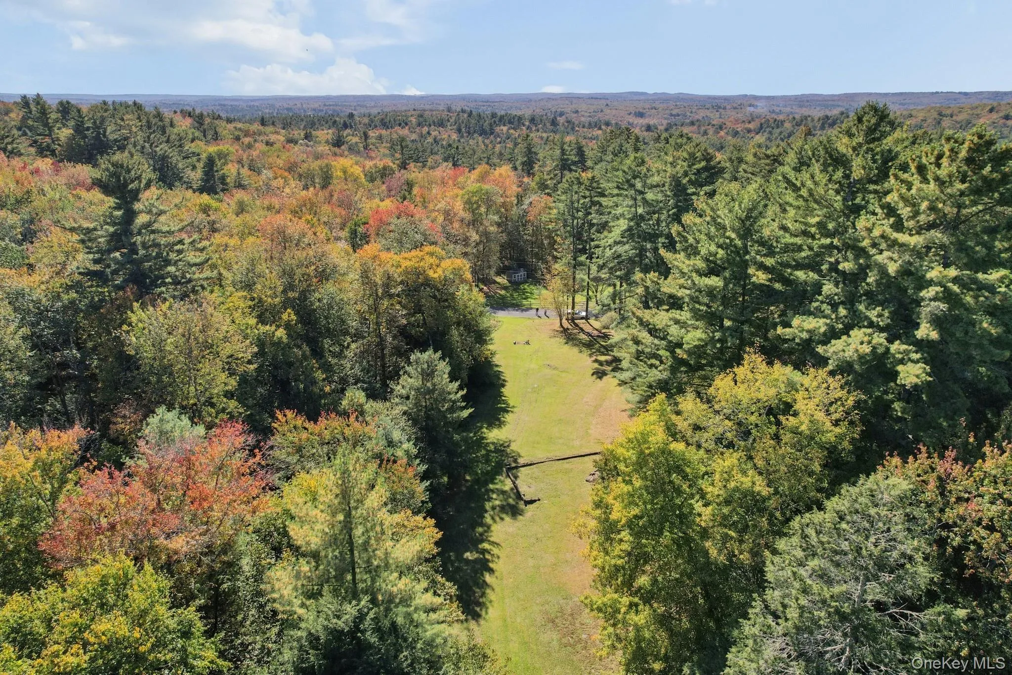 118 Weiser Road, Wawarsing, NY, ,Land,For Rent,Weiser,0,1056361 118 Weiser Road, Wawarsing, NY, ,Land,For Rent,Weiser,0,1056361