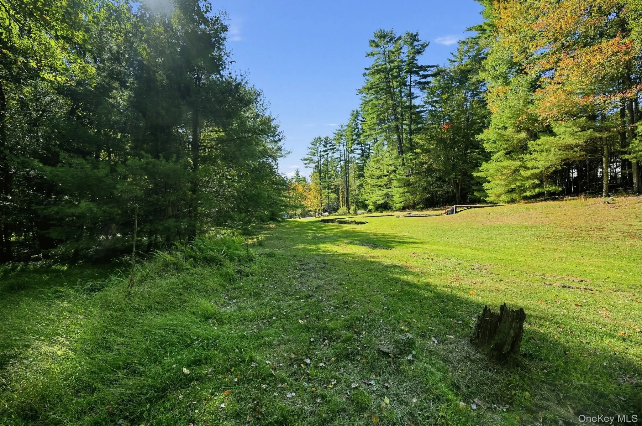118 Weiser Road, Wawarsing, NY, ,Land,For Rent,Weiser,0,1056361 118 Weiser Road, Wawarsing, NY, ,Land,For Rent,Weiser,0,1056361