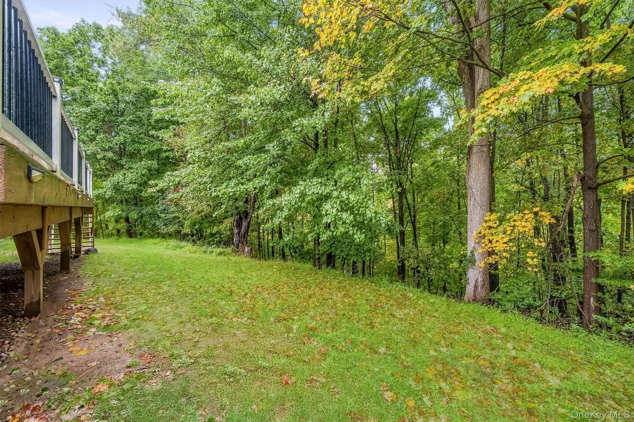 Expansive lawn featuring mature trees and a wood-finish deck with black railings Expansive lawn featuring mature trees and a wood-finish deck with black railings