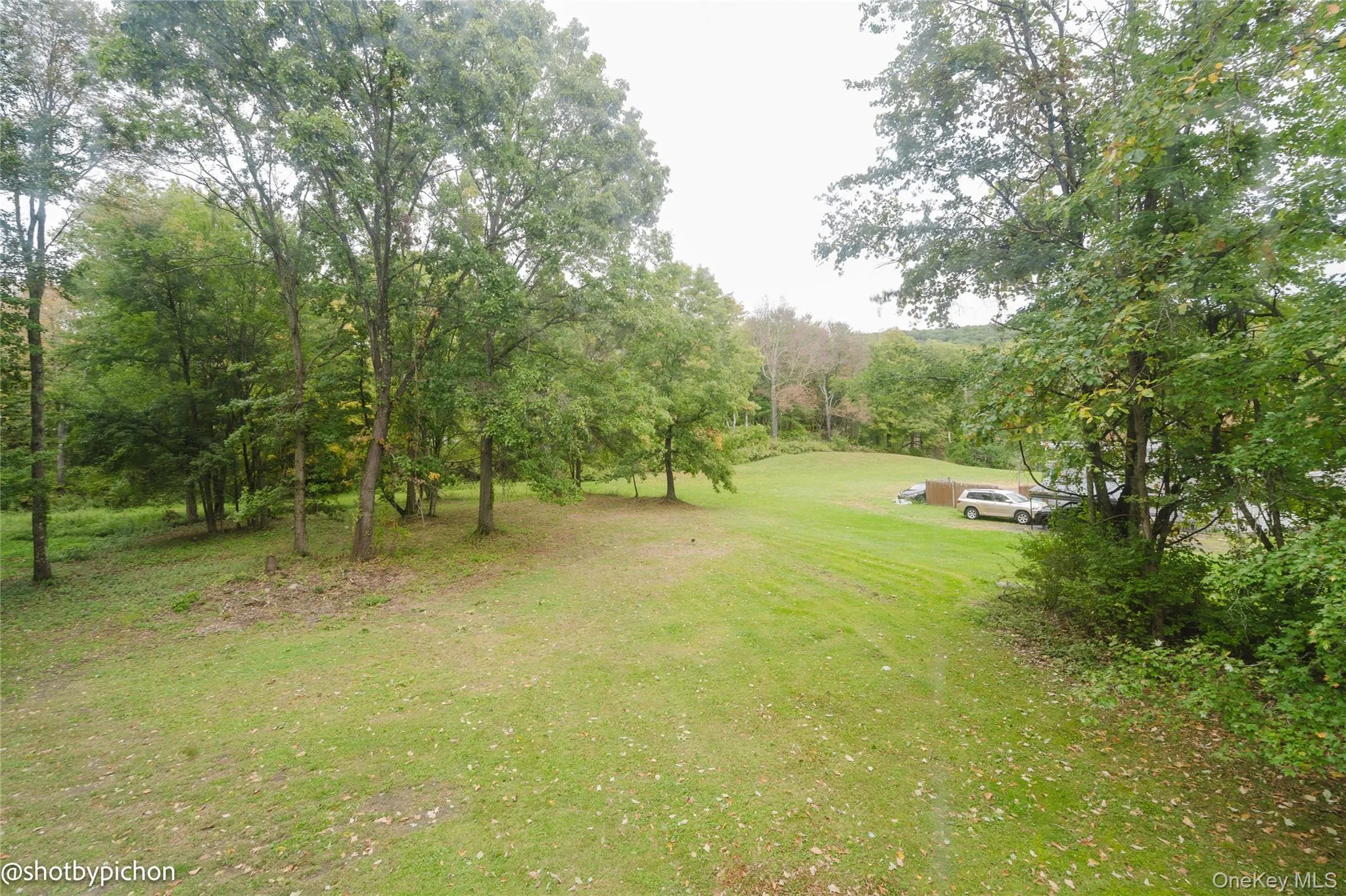 Expansive green lawn with mature trees and natural landscaping Expansive green lawn with mature trees and natural landscaping