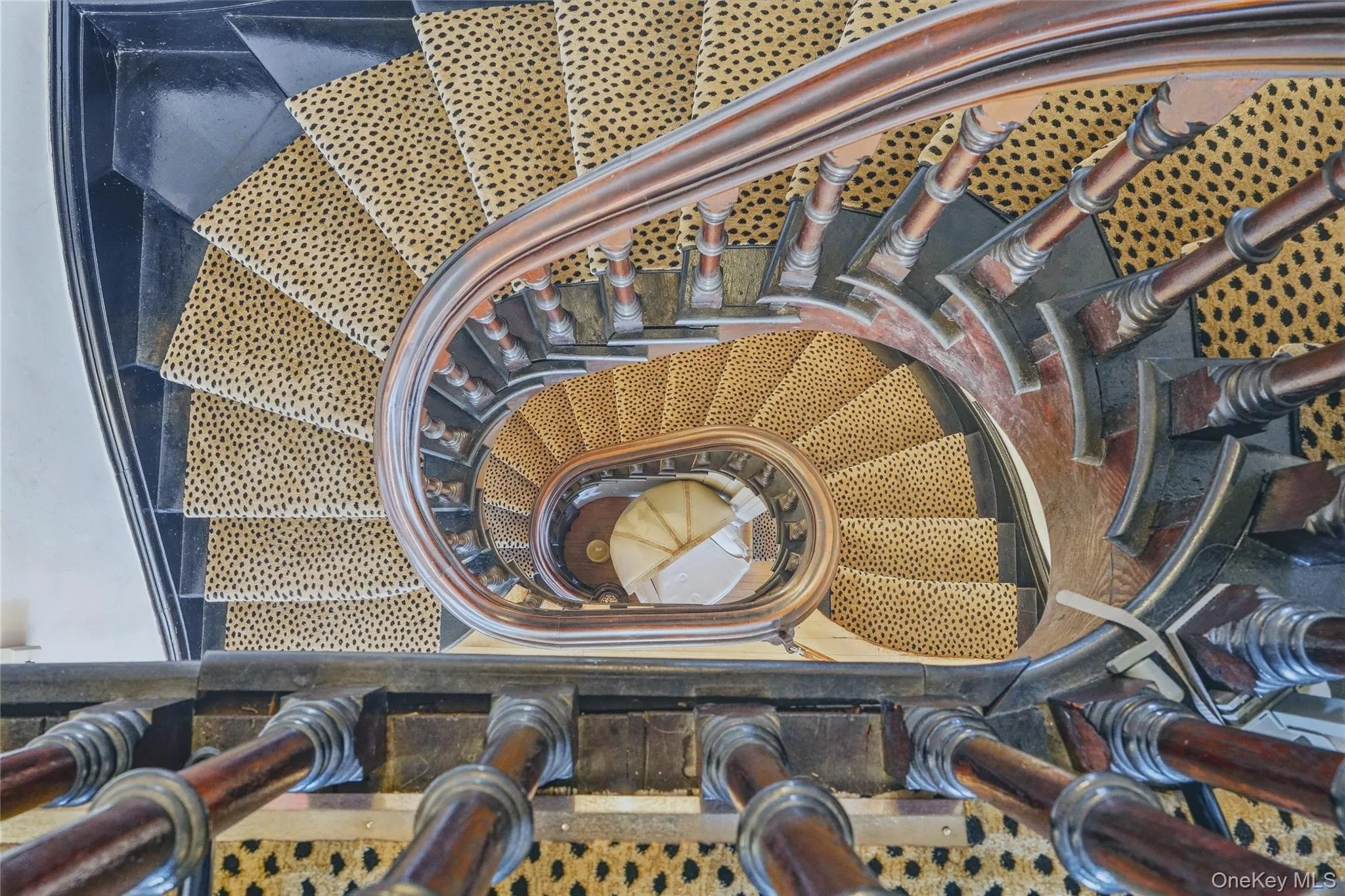 Curved staircase featuring dark wood railing and balusters, with patterned stair runner Curved staircase featuring dark wood railing and balusters, with patterned stair runner
