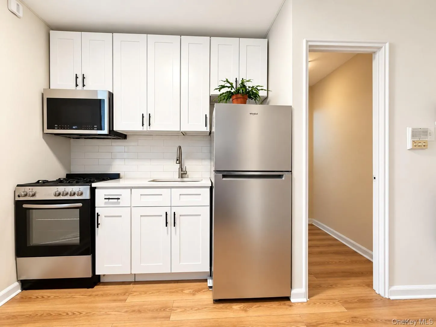 143-25 84th Drive, New York, NY, 2 Rooms Rooms,1 BathroomBathrooms,Residential,For Rent,84th,0,1056562 143-25 84th Drive, New York, NY, 2 Rooms Rooms,1 BathroomBathrooms,Residential,For Rent,84th,0,1056562
