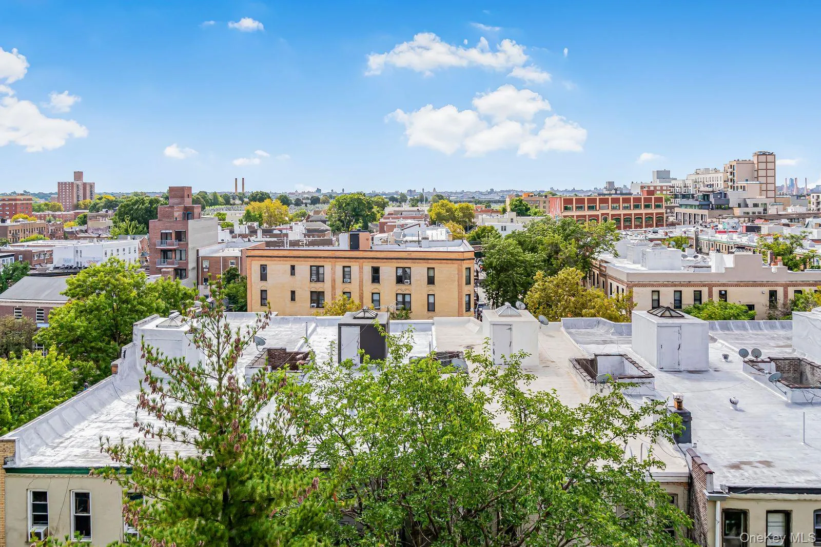 39-60 54th Street, New York, NY, 1 Bedroom Bedrooms, 4 Rooms Rooms,1 BathroomBathrooms,Residential,For Rent,54th,0,1056667 39-60 54th Street, New York, NY, 1 Bedroom Bedrooms, 4 Rooms Rooms,1 BathroomBathrooms,Residential,For Rent,54th,0,1056667