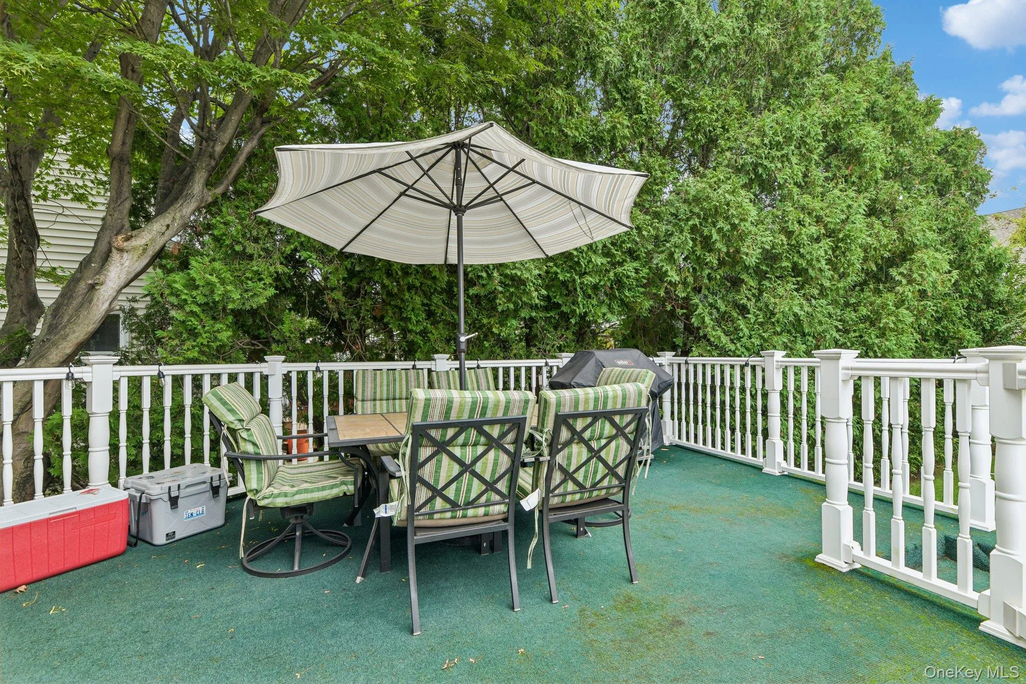 27 Juniper Avenue, North Hempstead, NY, 2 Bedrooms Bedrooms, 6 Rooms Rooms,1 BathroomBathrooms,Residential,For Rent,Juniper,0,1056706 27 Juniper Avenue, North Hempstead, NY, 2 Bedrooms Bedrooms, 6 Rooms Rooms,1 BathroomBathrooms,Residential,For Rent,Juniper,0,1056706