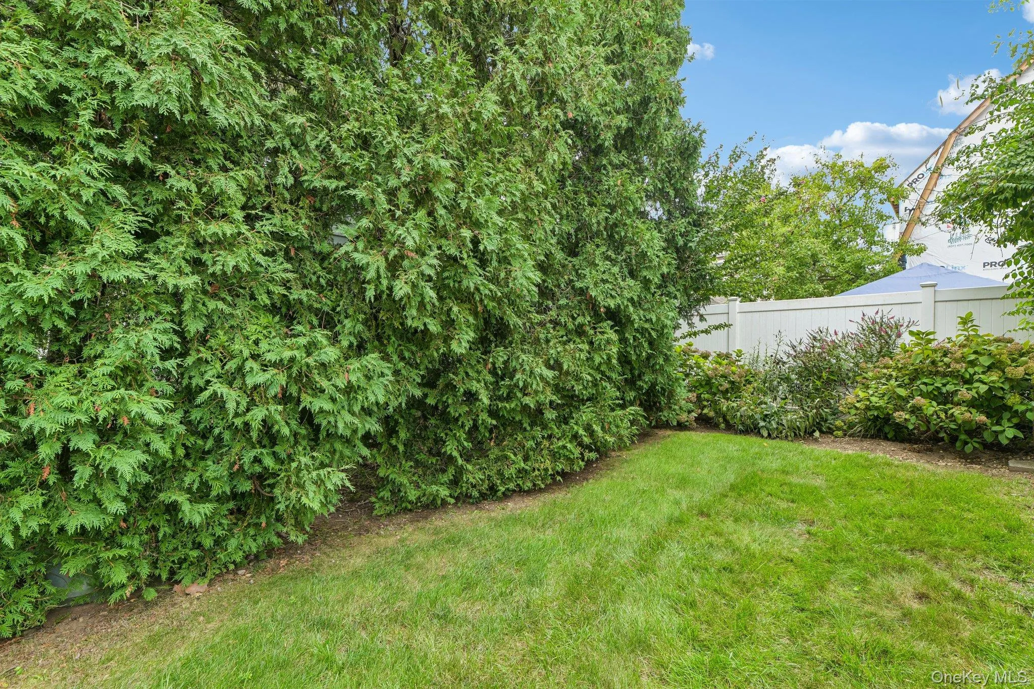 27 Juniper Avenue, North Hempstead, NY, 2 Bedrooms Bedrooms, 6 Rooms Rooms,1 BathroomBathrooms,Residential,For Rent,Juniper,0,1056706 27 Juniper Avenue, North Hempstead, NY, 2 Bedrooms Bedrooms, 6 Rooms Rooms,1 BathroomBathrooms,Residential,For Rent,Juniper,0,1056706