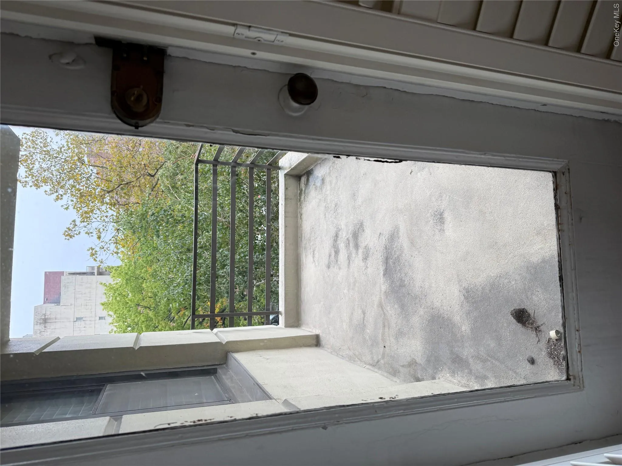 9810 64th Avenue, New York, NY, 1 Bedroom Bedrooms, 3 Rooms Rooms,1 BathroomBathrooms,Residential Lease,For Rent,64th,0,1056707 9810 64th Avenue, New York, NY, 1 Bedroom Bedrooms, 3 Rooms Rooms,1 BathroomBathrooms,Residential Lease,For Rent,64th,0,1056707