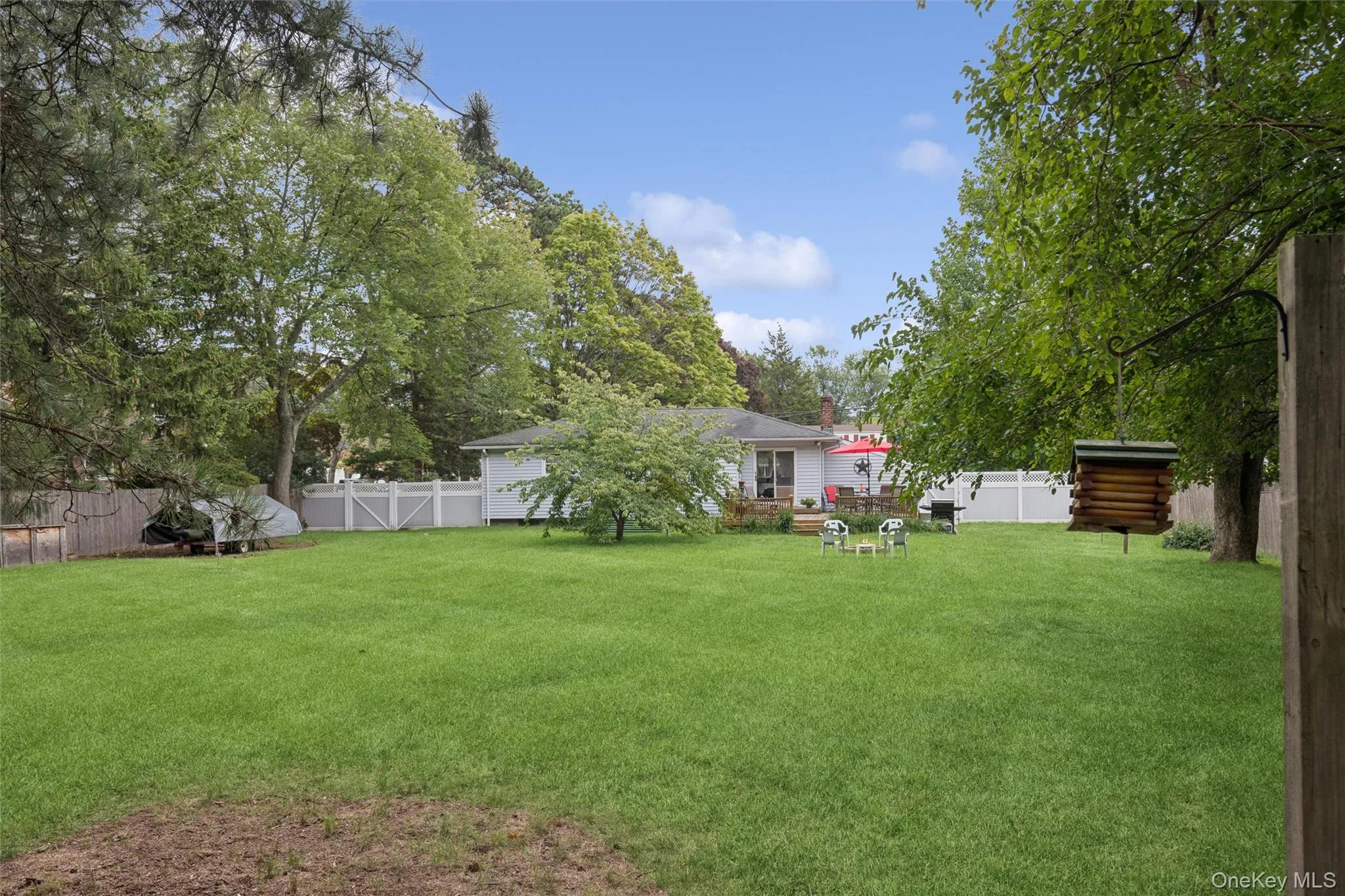 Backyard Backyard