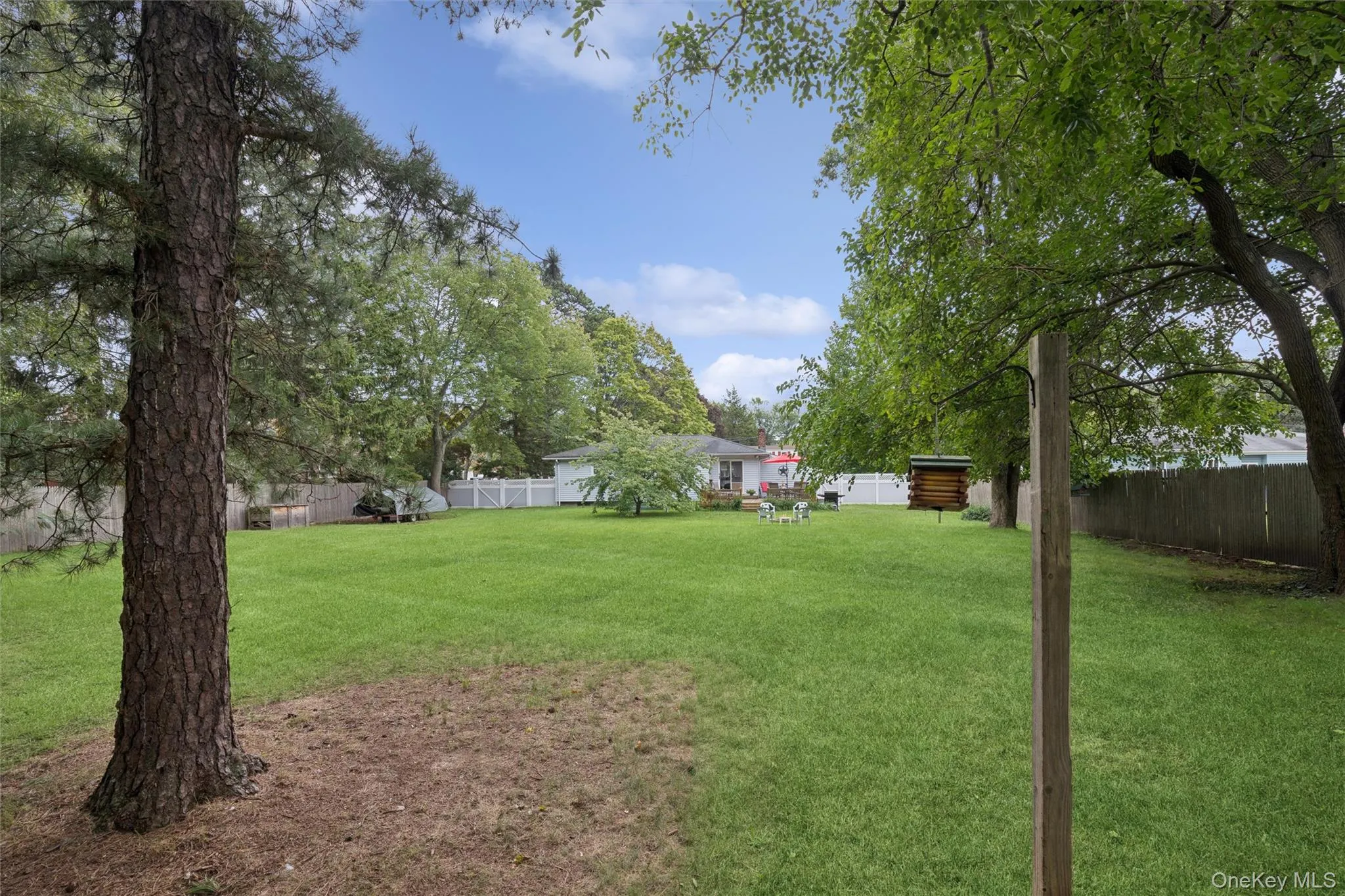 Amazing Backyard Amazing Backyard