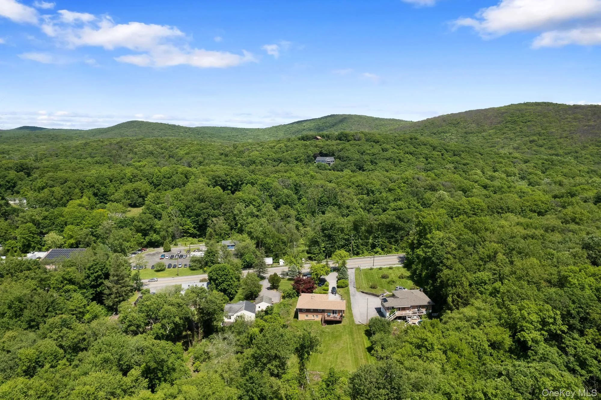 Drone / aerial view of a forest and a mountainous background Drone / aerial view of a forest and a mountainous background