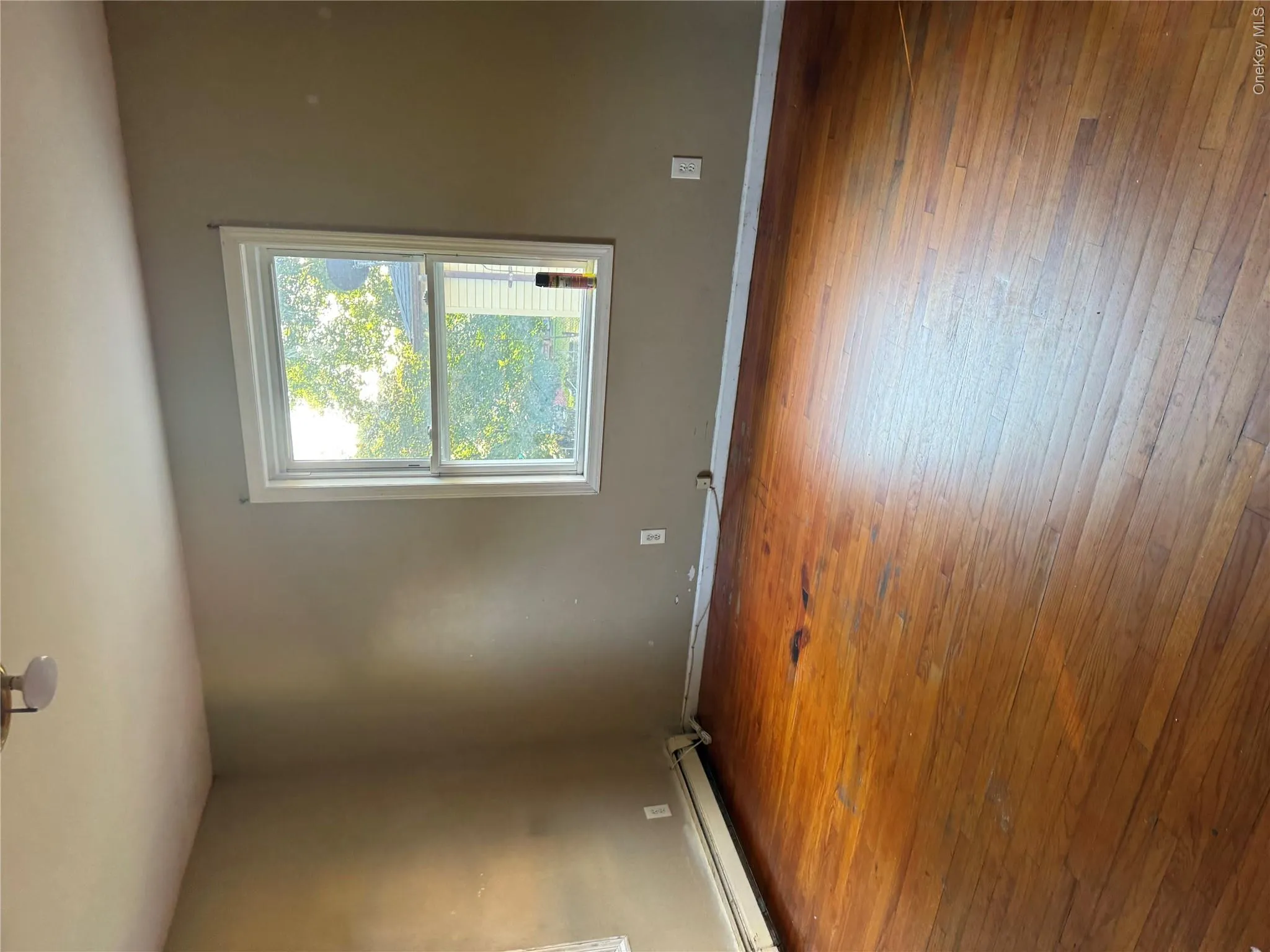 346 Sheridan Street, North Hempstead, NY, 7 Bedrooms Bedrooms, 14 Rooms Rooms,3 BathroomsBathrooms,Residential,For Rent,Sheridan,0,1056768 346 Sheridan Street, North Hempstead, NY, 7 Bedrooms Bedrooms, 14 Rooms Rooms,3 BathroomsBathrooms,Residential,For Rent,Sheridan,0,1056768