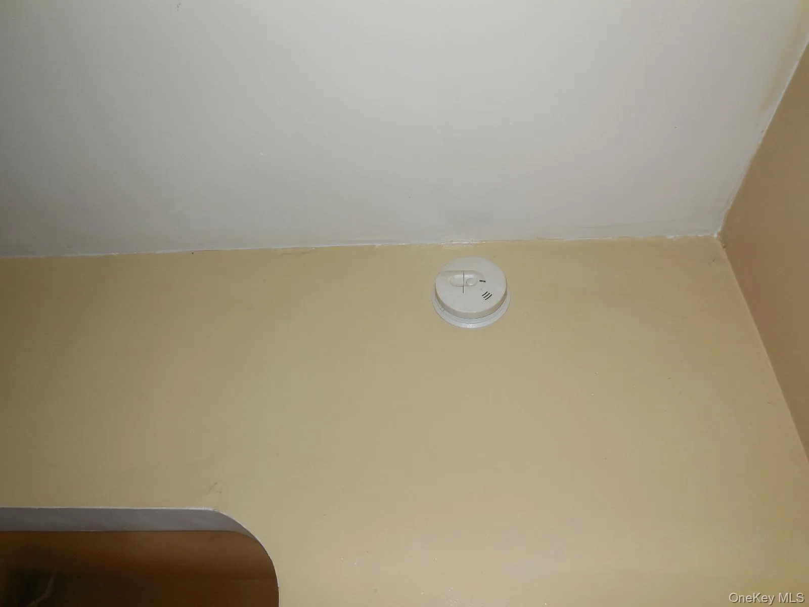 25-53 Mc Intosh Street, New York, NY, 3 Bedrooms Bedrooms, 6 Rooms Rooms,1 BathroomBathrooms,Residential,For Rent,Mc Intosh,0,1056793 25-53 Mc Intosh Street, New York, NY, 3 Bedrooms Bedrooms, 6 Rooms Rooms,1 BathroomBathrooms,Residential,For Rent,Mc Intosh,0,1056793