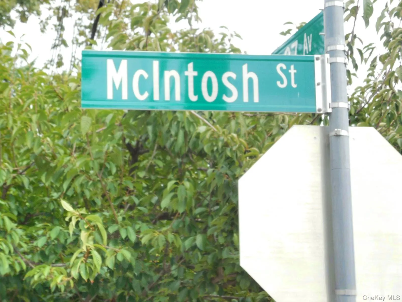 25-53 Mc Intosh Street, New York, NY, 3 Bedrooms Bedrooms, 6 Rooms Rooms,1 BathroomBathrooms,Residential,For Rent,Mc Intosh,0,1056793 25-53 Mc Intosh Street, New York, NY, 3 Bedrooms Bedrooms, 6 Rooms Rooms,1 BathroomBathrooms,Residential,For Rent,Mc Intosh,0,1056793