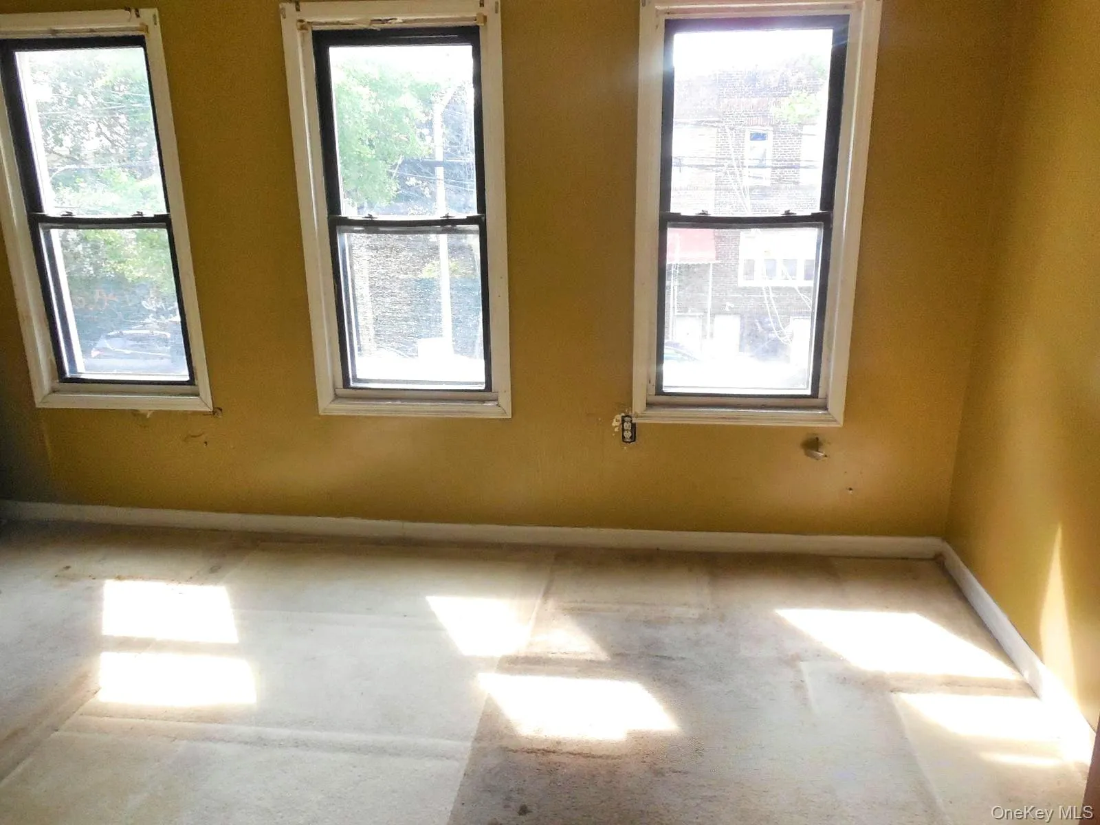 25-53 Mc Intosh Street, New York, NY, 3 Bedrooms Bedrooms, 6 Rooms Rooms,1 BathroomBathrooms,Residential,For Rent,Mc Intosh,0,1056793 25-53 Mc Intosh Street, New York, NY, 3 Bedrooms Bedrooms, 6 Rooms Rooms,1 BathroomBathrooms,Residential,For Rent,Mc Intosh,0,1056793