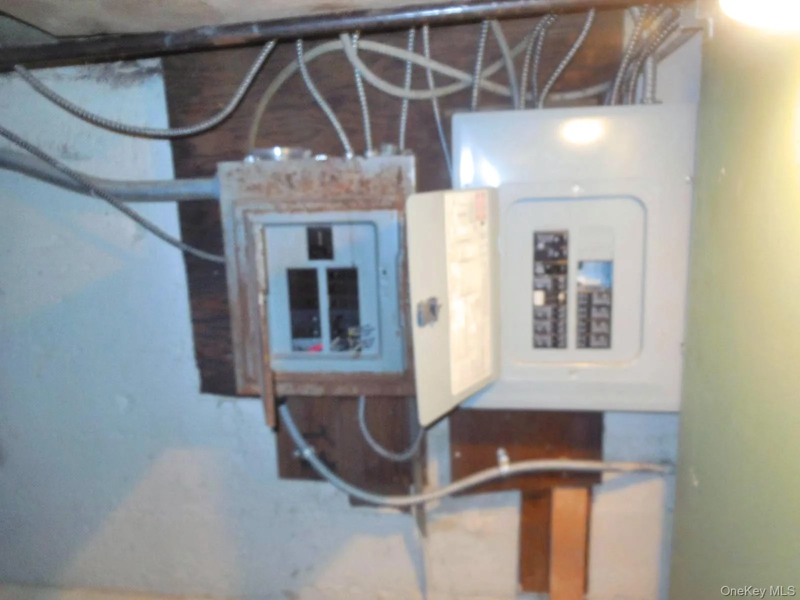 25-53 Mc Intosh Street, New York, NY, 3 Bedrooms Bedrooms, 6 Rooms Rooms,1 BathroomBathrooms,Residential,For Rent,Mc Intosh,0,1056793 25-53 Mc Intosh Street, New York, NY, 3 Bedrooms Bedrooms, 6 Rooms Rooms,1 BathroomBathrooms,Residential,For Rent,Mc Intosh,0,1056793