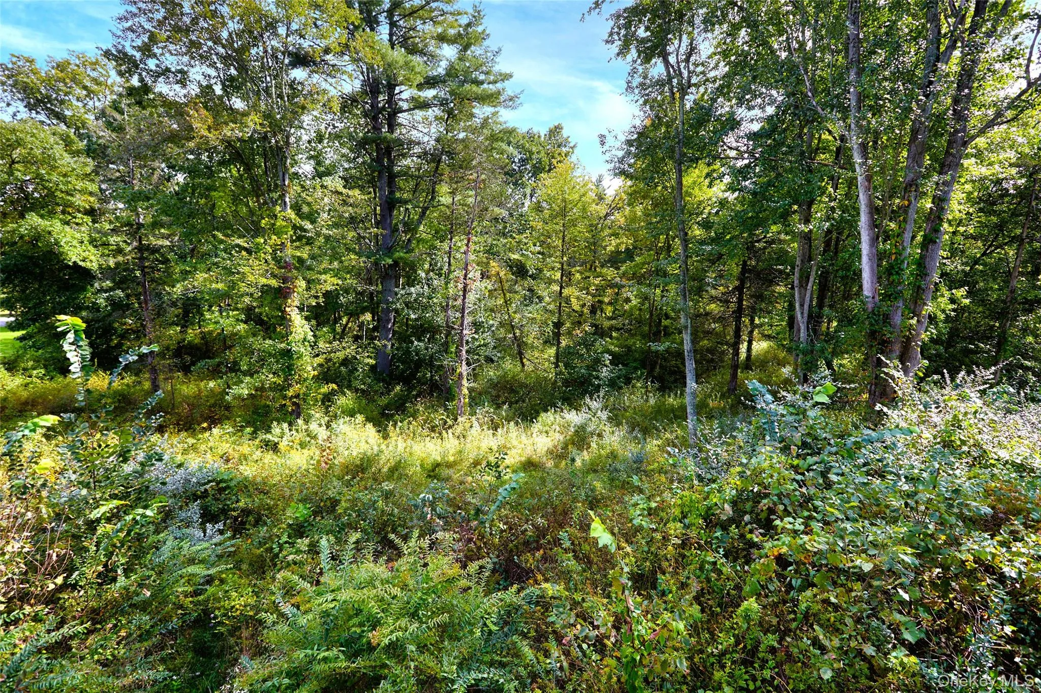 31 Kapetanakis Lane, Marbletown, NY, 2 Bedrooms Bedrooms, 9 Rooms Rooms,2 BathroomsBathrooms,Residential,For Rent,Kapetanakis,0,1056799 31 Kapetanakis Lane, Marbletown, NY, 2 Bedrooms Bedrooms, 9 Rooms Rooms,2 BathroomsBathrooms,Residential,For Rent,Kapetanakis,0,1056799