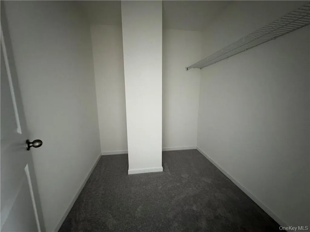 Spacious closet featuring carpet floors Spacious closet featuring carpet floors