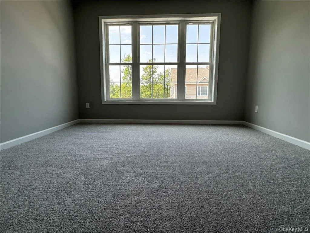 Carpeted spare room with a healthy amount of sunlight Carpeted spare room with a healthy amount of sunlight