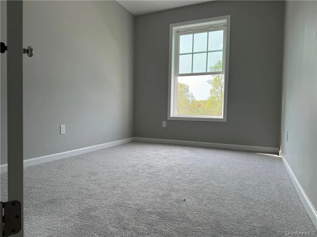 Carpeted empty room featuring a wealth of natural light Carpeted empty room featuring a wealth of natural light
