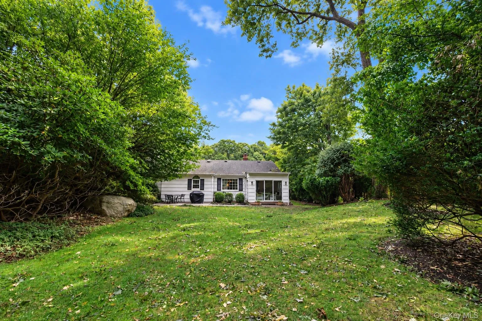 Large backyard with mature specimen plantings Large backyard with mature specimen plantings