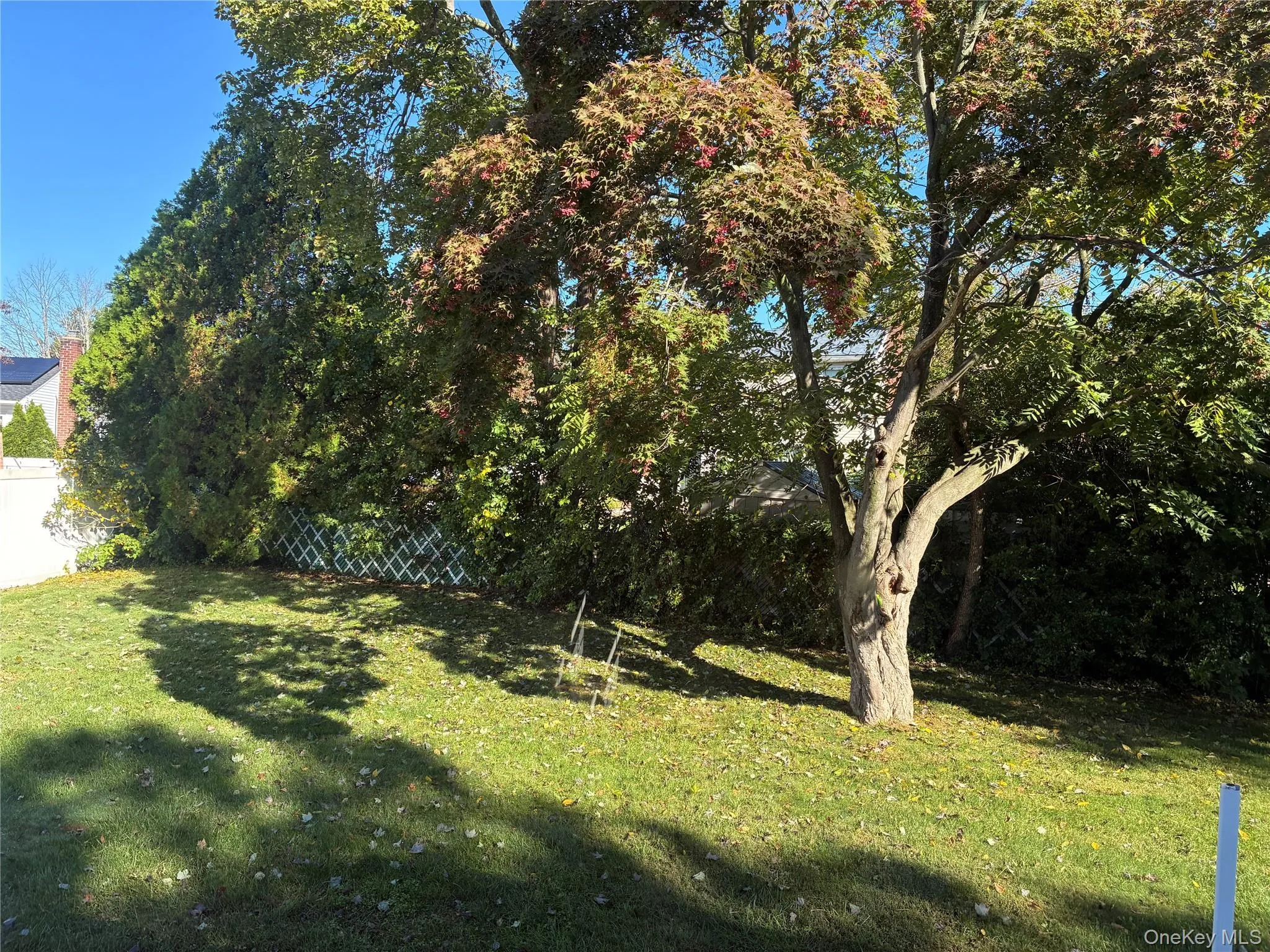 Expansive lawn featuring mature trees and established perimeter landscaping Expansive lawn featuring mature trees and established perimeter landscaping