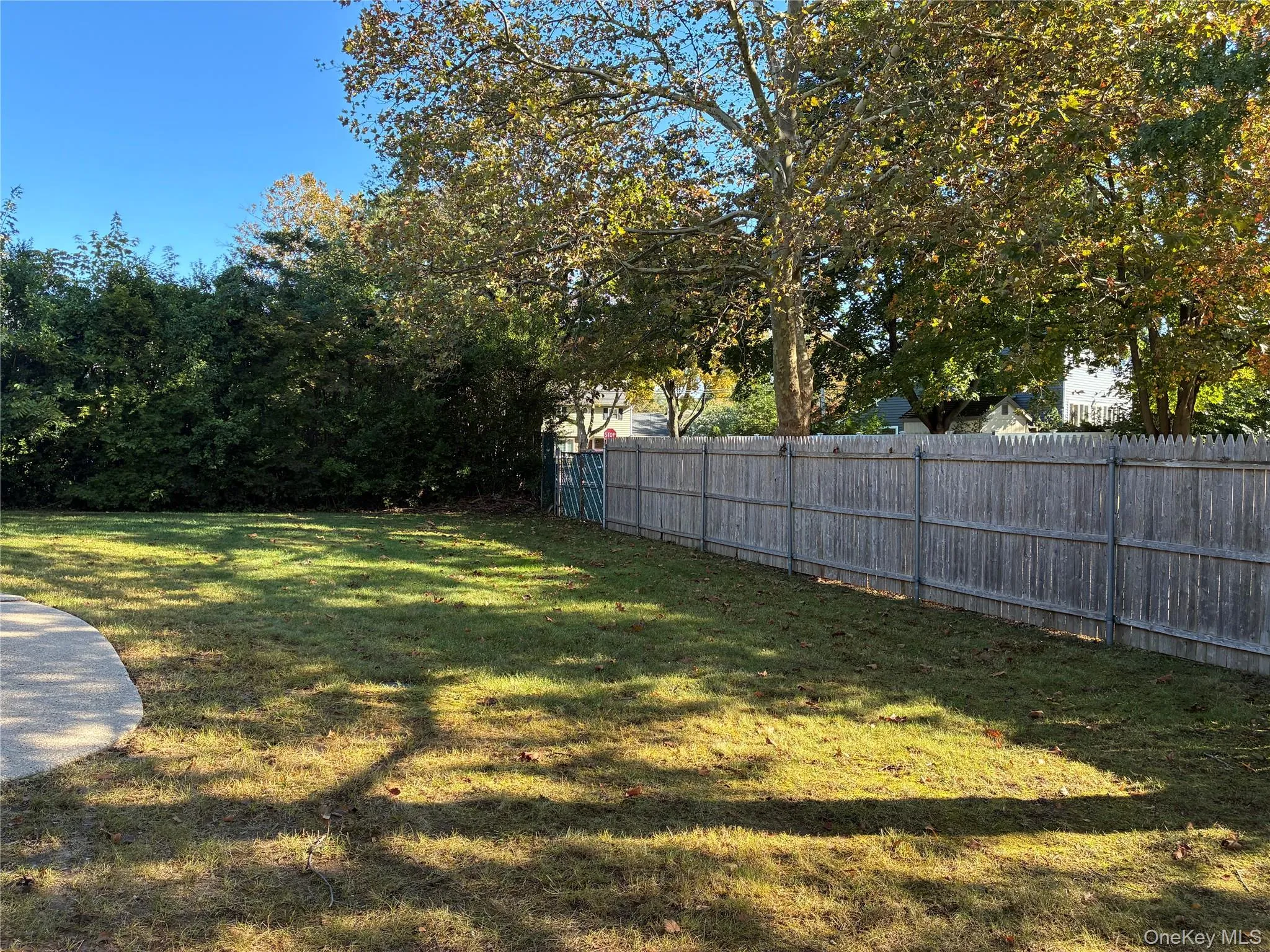 Expansive grassy area featuring a wood fence, mature trees, and a curved concrete patio Expansive grassy area featuring a wood fence, mature trees, and a curved concrete patio