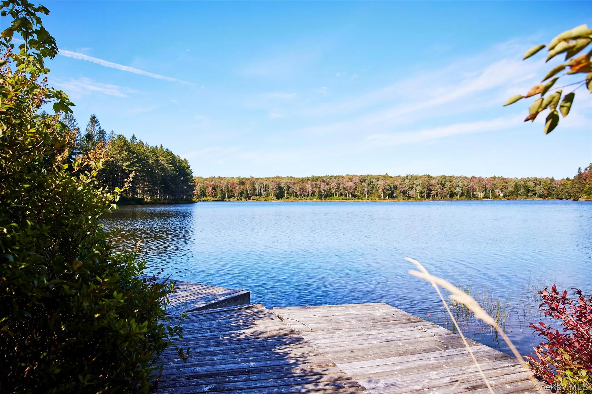 452 White Roe Lake Road, Rockland, NY, 3 Bedrooms Bedrooms, 7 Rooms Rooms,2 BathroomsBathrooms,Residential,For Rent,White Roe Lake,0,1056852 452 White Roe Lake Road, Rockland, NY, 3 Bedrooms Bedrooms, 7 Rooms Rooms,2 BathroomsBathrooms,Residential,For Rent,White Roe Lake,0,1056852