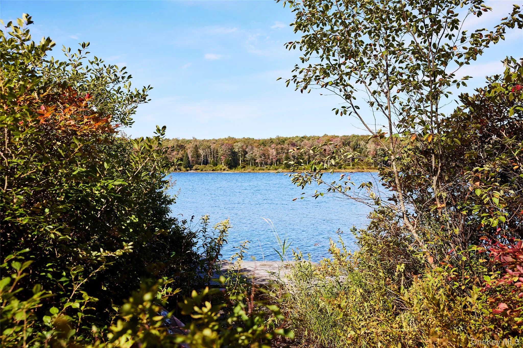452 White Roe Lake Road, Rockland, NY, 3 Bedrooms Bedrooms, 7 Rooms Rooms,2 BathroomsBathrooms,Residential,For Rent,White Roe Lake,0,1056852 452 White Roe Lake Road, Rockland, NY, 3 Bedrooms Bedrooms, 7 Rooms Rooms,2 BathroomsBathrooms,Residential,For Rent,White Roe Lake,0,1056852