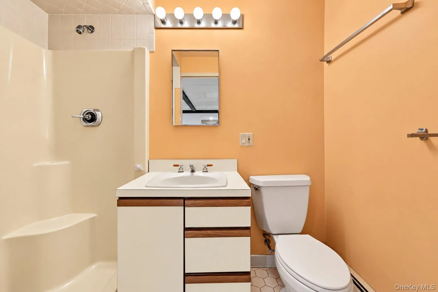 Lower level bathroom. Lower level bathroom.