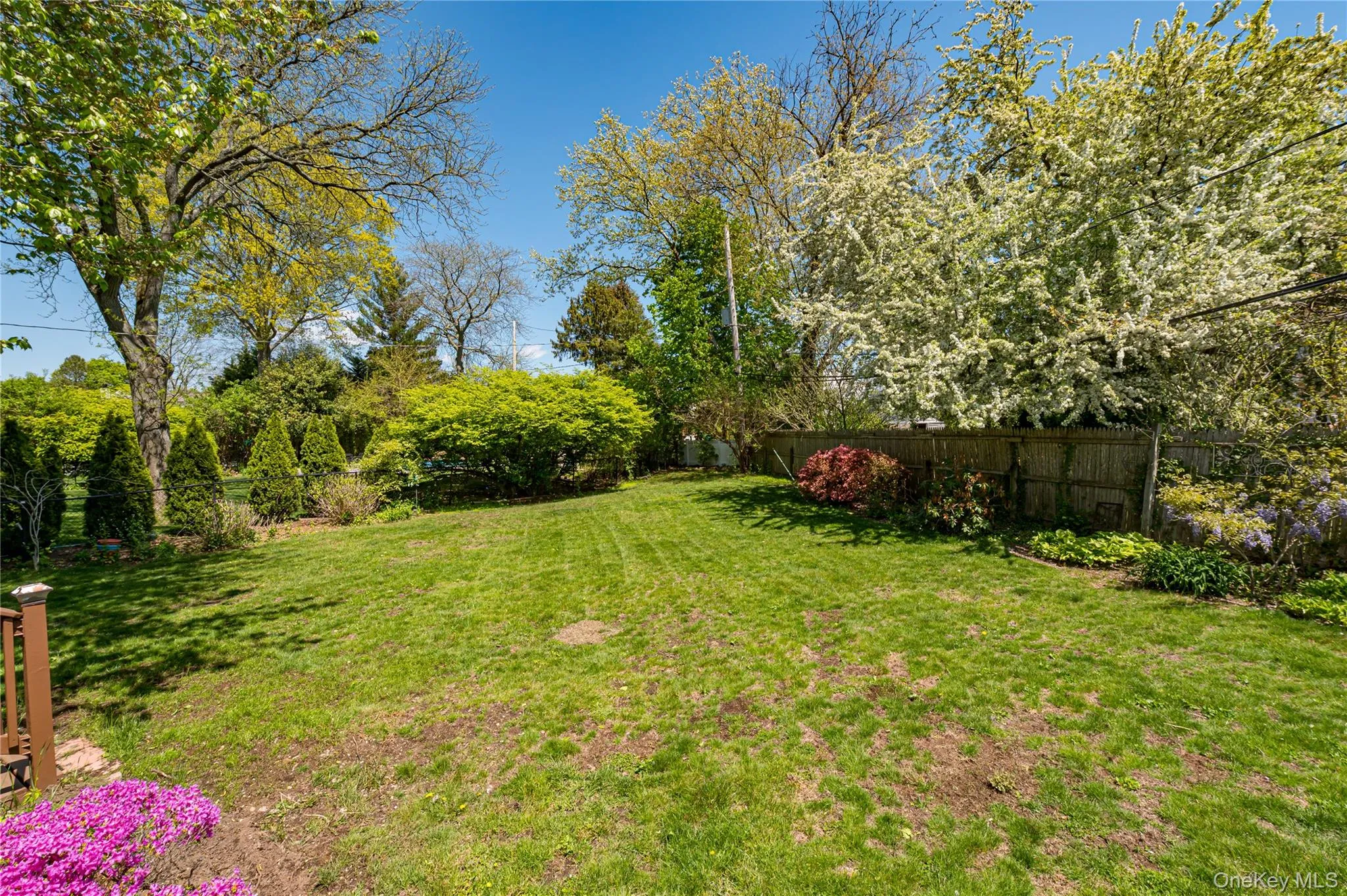 Large yard Large yard