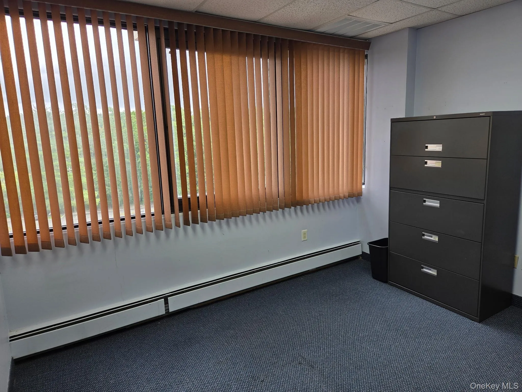 254 Main Street, Clarkstown, NY, ,Commercial Lease,For Rent,Main,0,1057027 254 Main Street, Clarkstown, NY, ,Commercial Lease,For Rent,Main,0,1057027