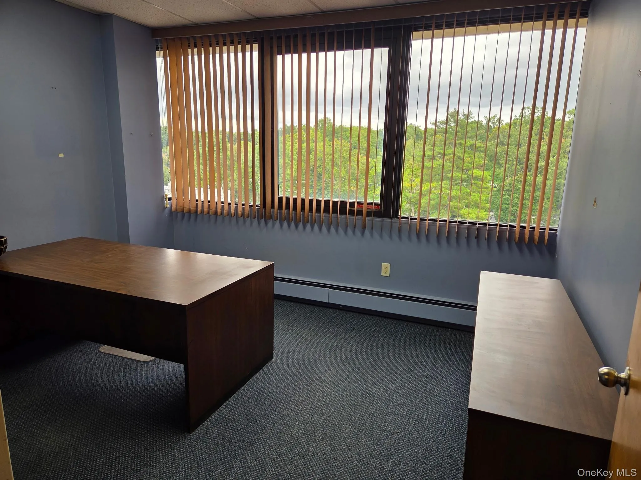 254 Main Street, Clarkstown, NY, ,Commercial Lease,For Rent,Main,0,1057027 254 Main Street, Clarkstown, NY, ,Commercial Lease,For Rent,Main,0,1057027