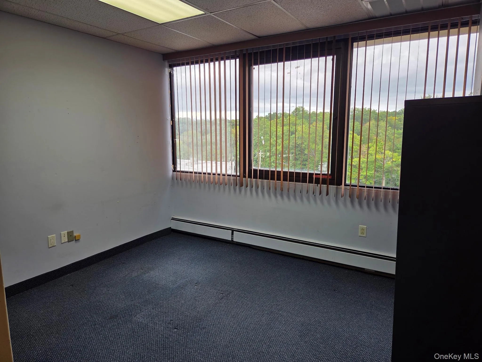 254 Main Street, Clarkstown, NY, ,Commercial Lease,For Rent,Main,0,1057027 254 Main Street, Clarkstown, NY, ,Commercial Lease,For Rent,Main,0,1057027