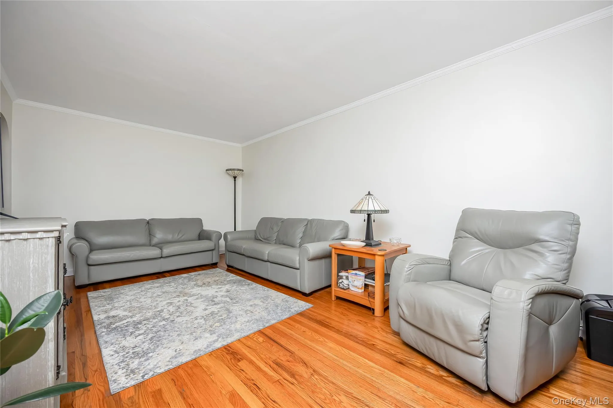 76-12 58th Road, New York, NY, 2 Bedrooms Bedrooms, 5 Rooms Rooms,2 BathroomsBathrooms,Residential,For Rent,58th,0,1057048 76-12 58th Road, New York, NY, 2 Bedrooms Bedrooms, 5 Rooms Rooms,2 BathroomsBathrooms,Residential,For Rent,58th,0,1057048