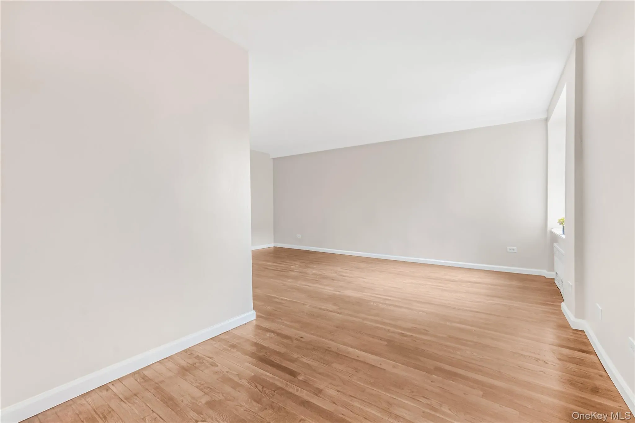 Unfurnished room featuring light wood-style floors and baseboards Unfurnished room featuring light wood-style floors and baseboards