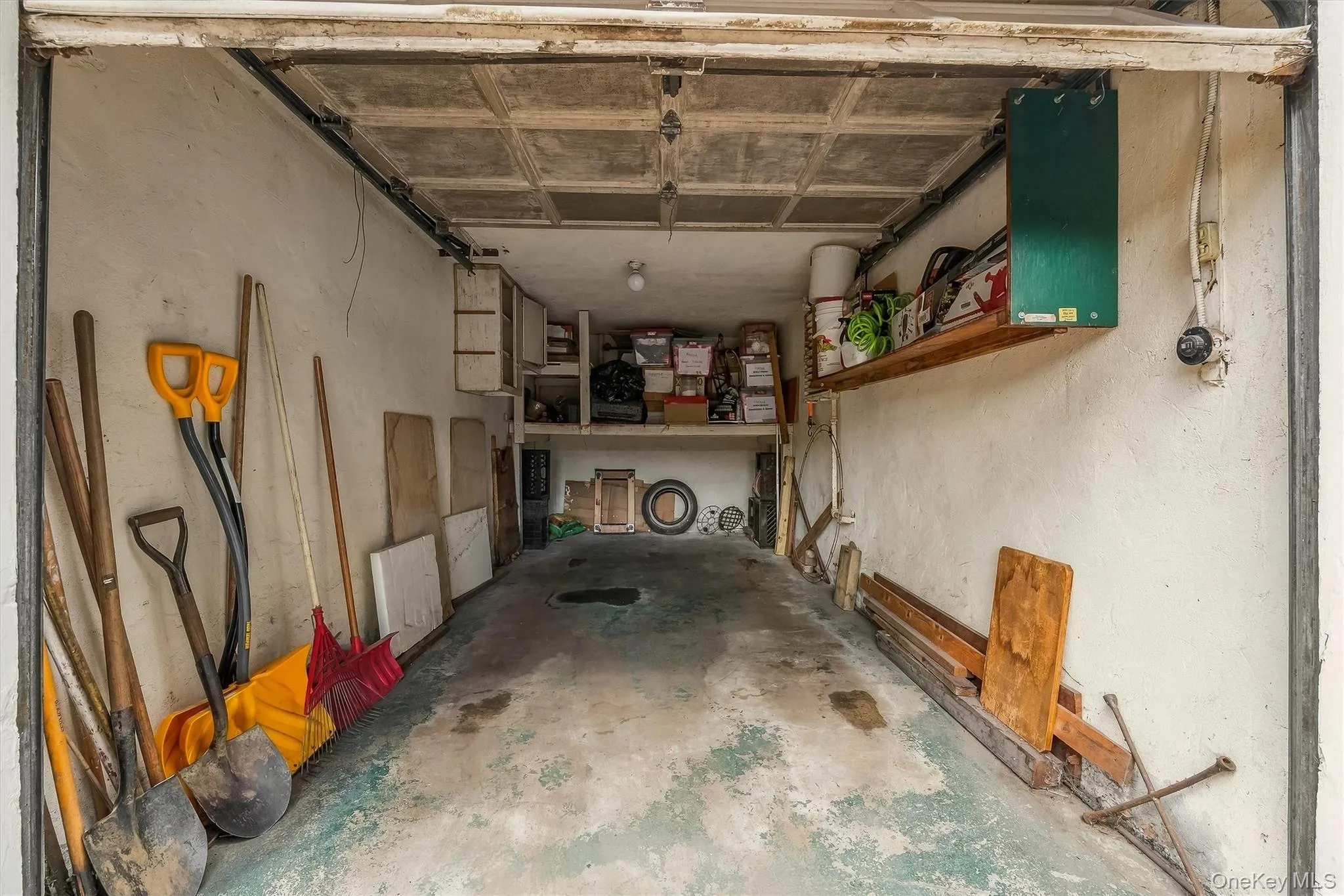 1114 Mace Avenue, New York, NY, 3 Bedrooms Bedrooms, 6 Rooms Rooms,1 BathroomBathrooms,Residential,For Rent,Mace,0,1057240 1114 Mace Avenue, New York, NY, 3 Bedrooms Bedrooms, 6 Rooms Rooms,1 BathroomBathrooms,Residential,For Rent,Mace,0,1057240